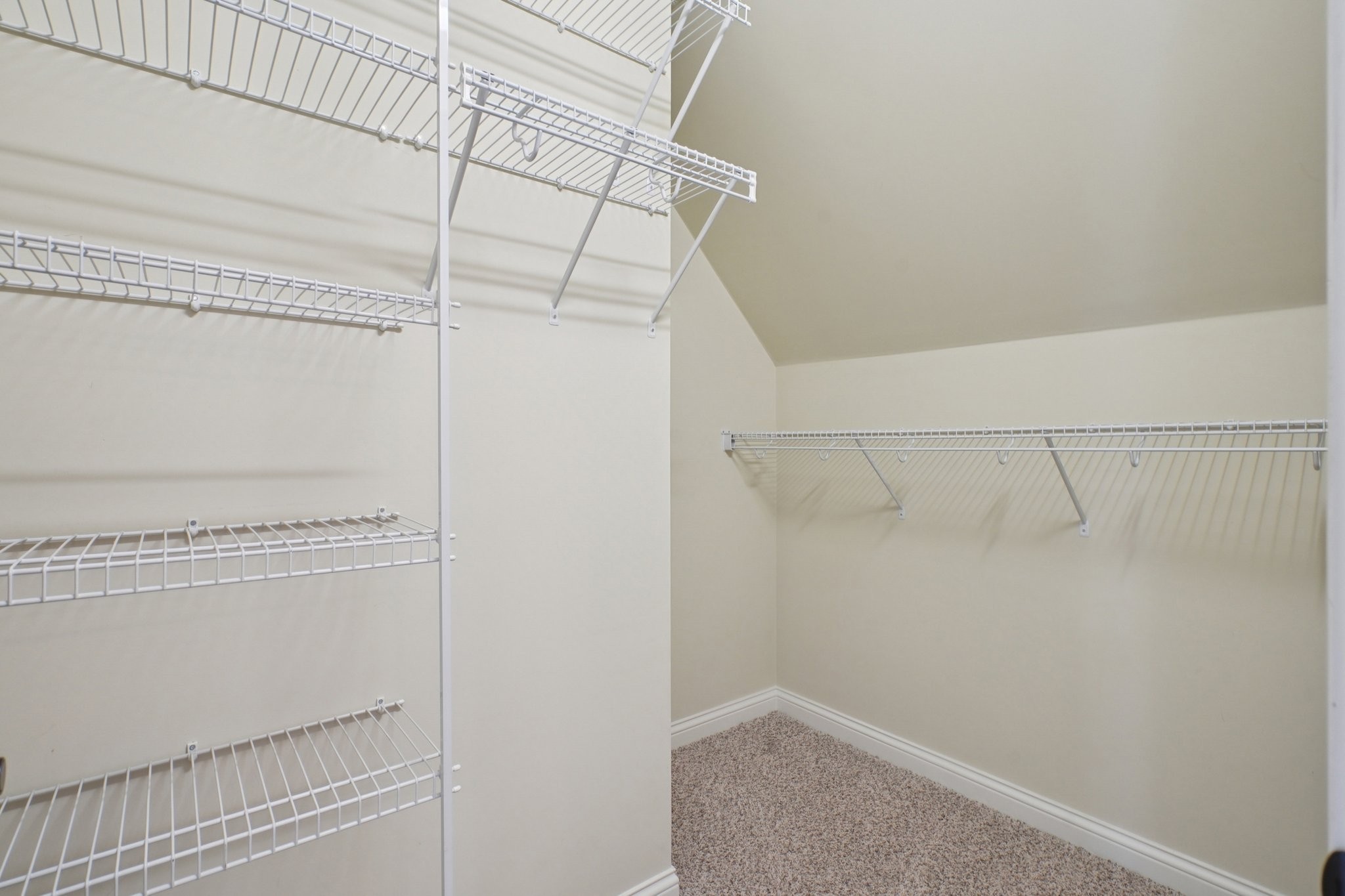 113 Timber Ridge Ct Property Photo 44