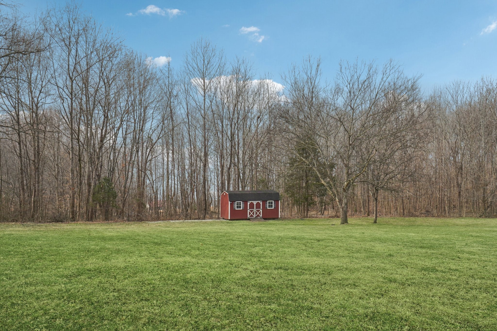 113 Timber Ridge Ct Property Photo 62
