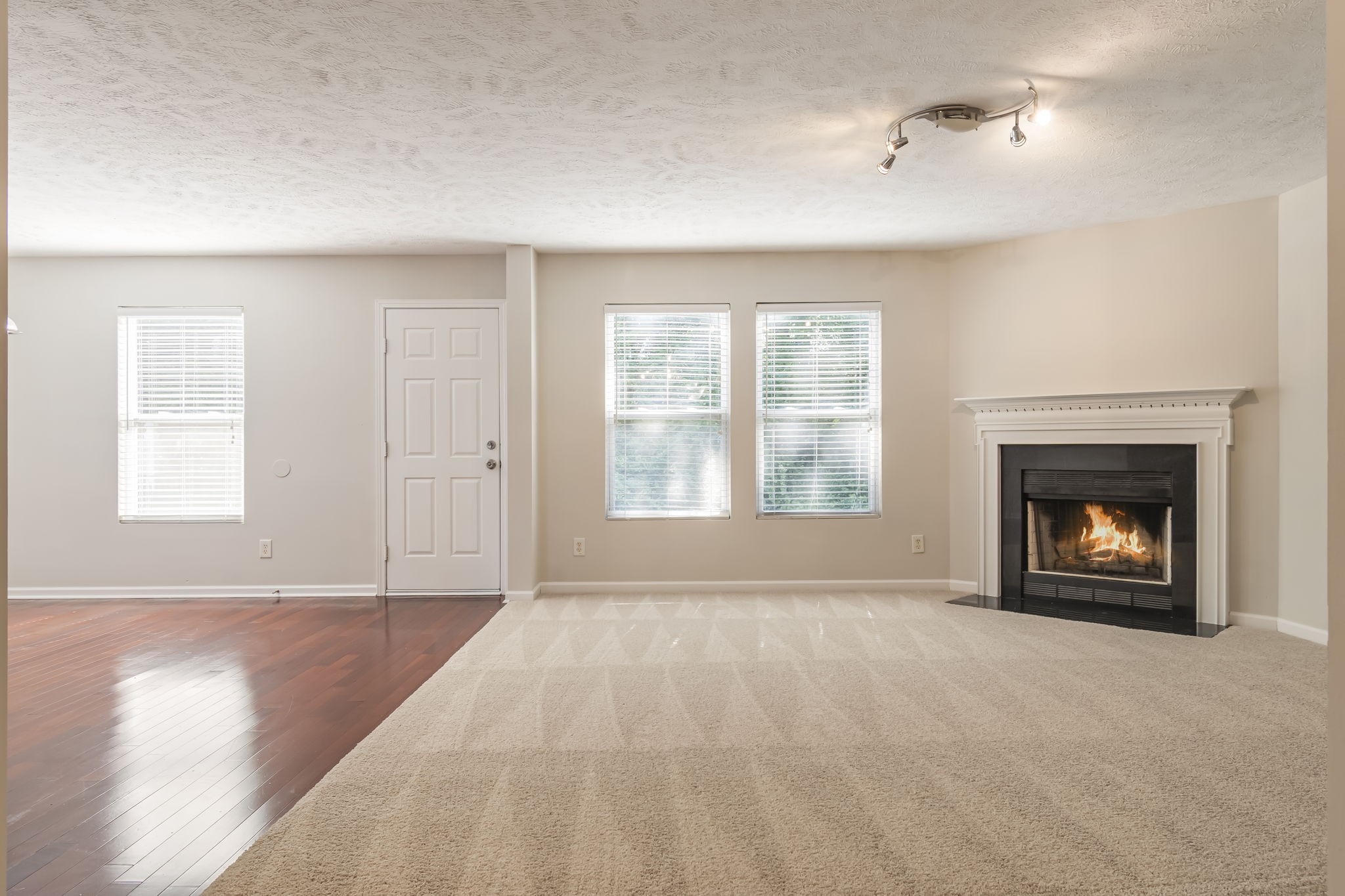 412 Elderberry Way Property Photo 19