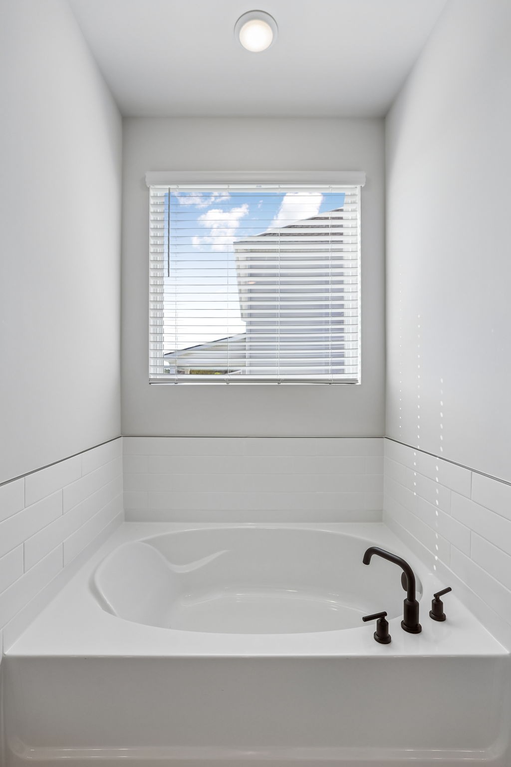 114 Emeline Way Property Photo 40