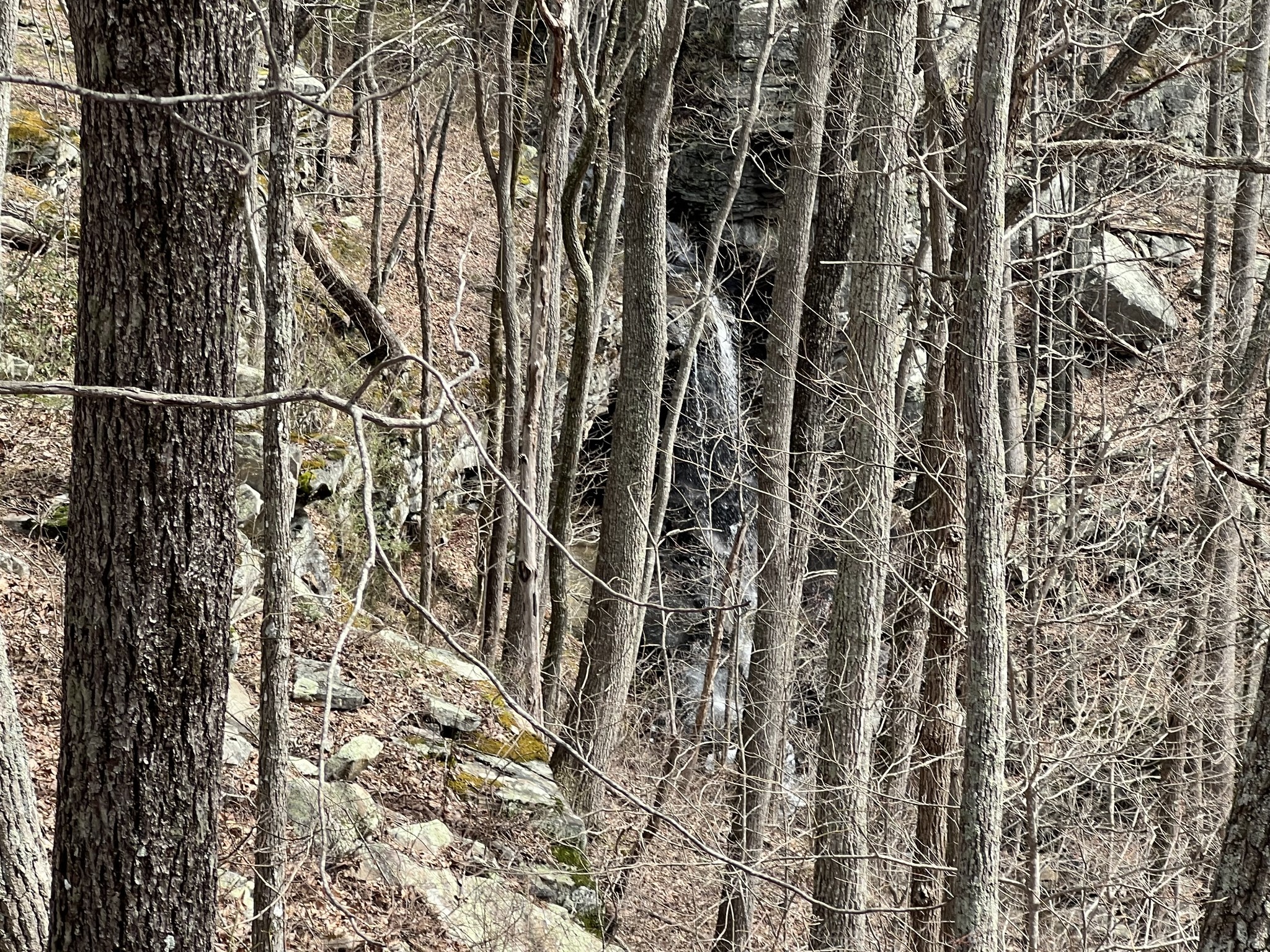 4441 Deer Run Road Property Photo 1