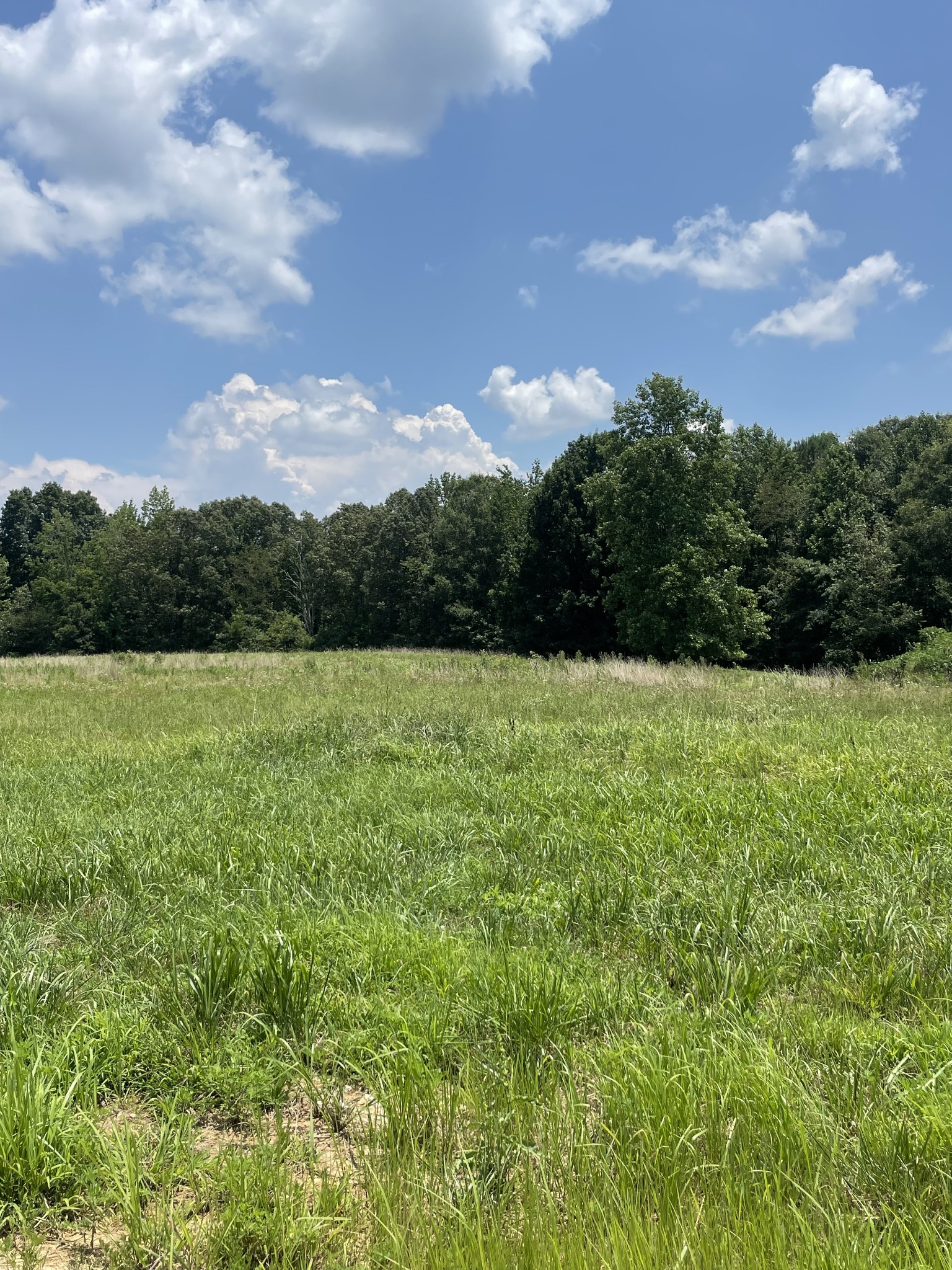 0 Summer Lake Ct Property Photo 1