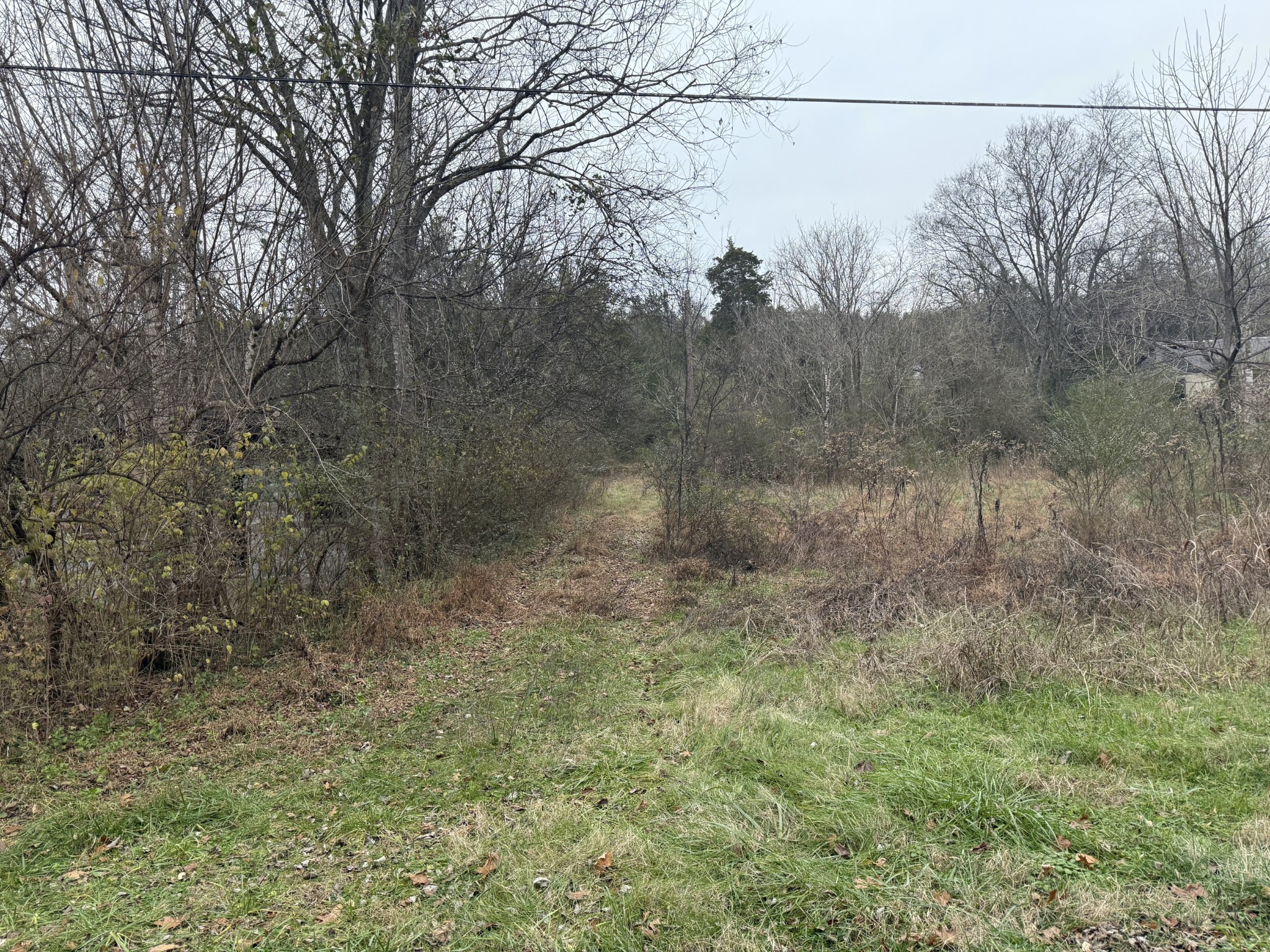 0 Lewis Rd Property Photo 1