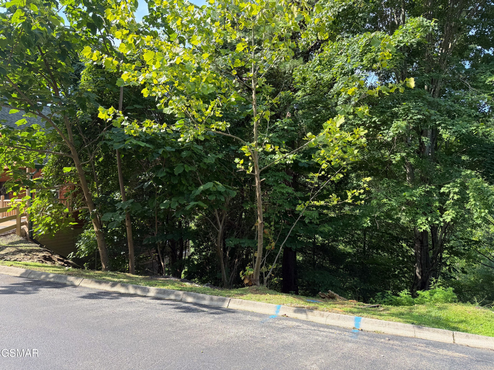 56 Smoky Ridge Way Property Photo 1