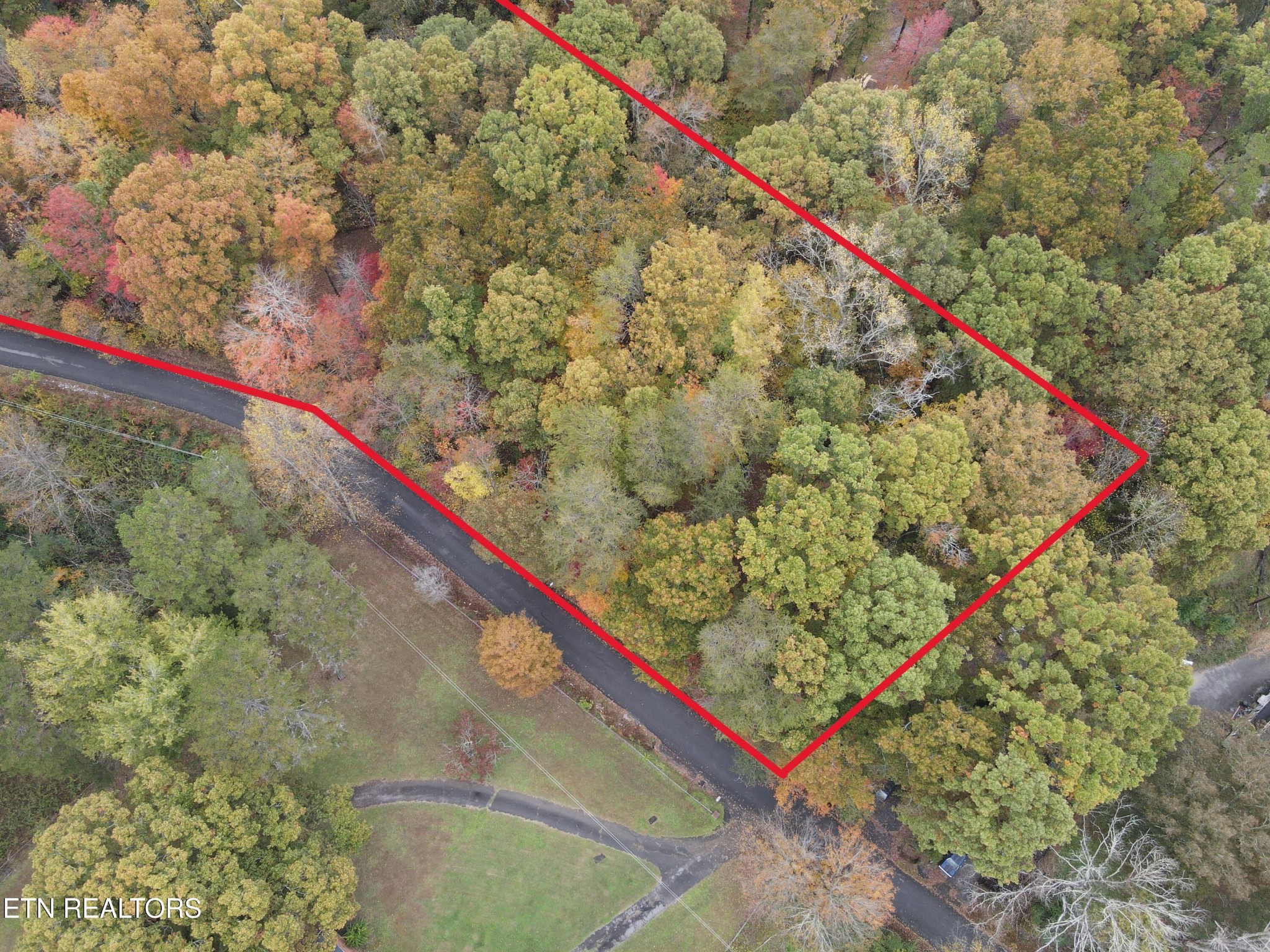 126 Pleasant View Loop Rd Property Photo 2