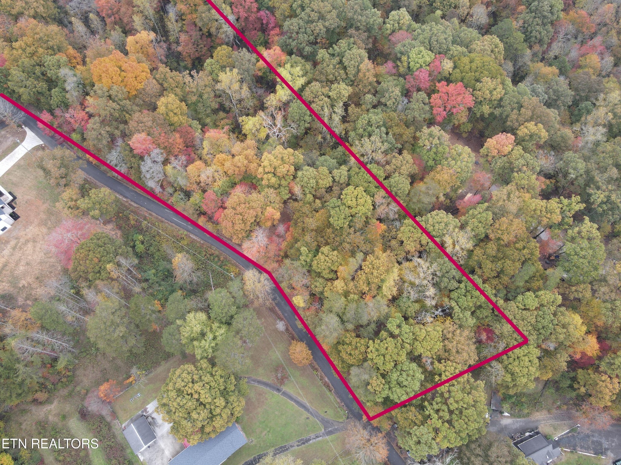 126 Pleasant View Loop Rd Property Photo 3