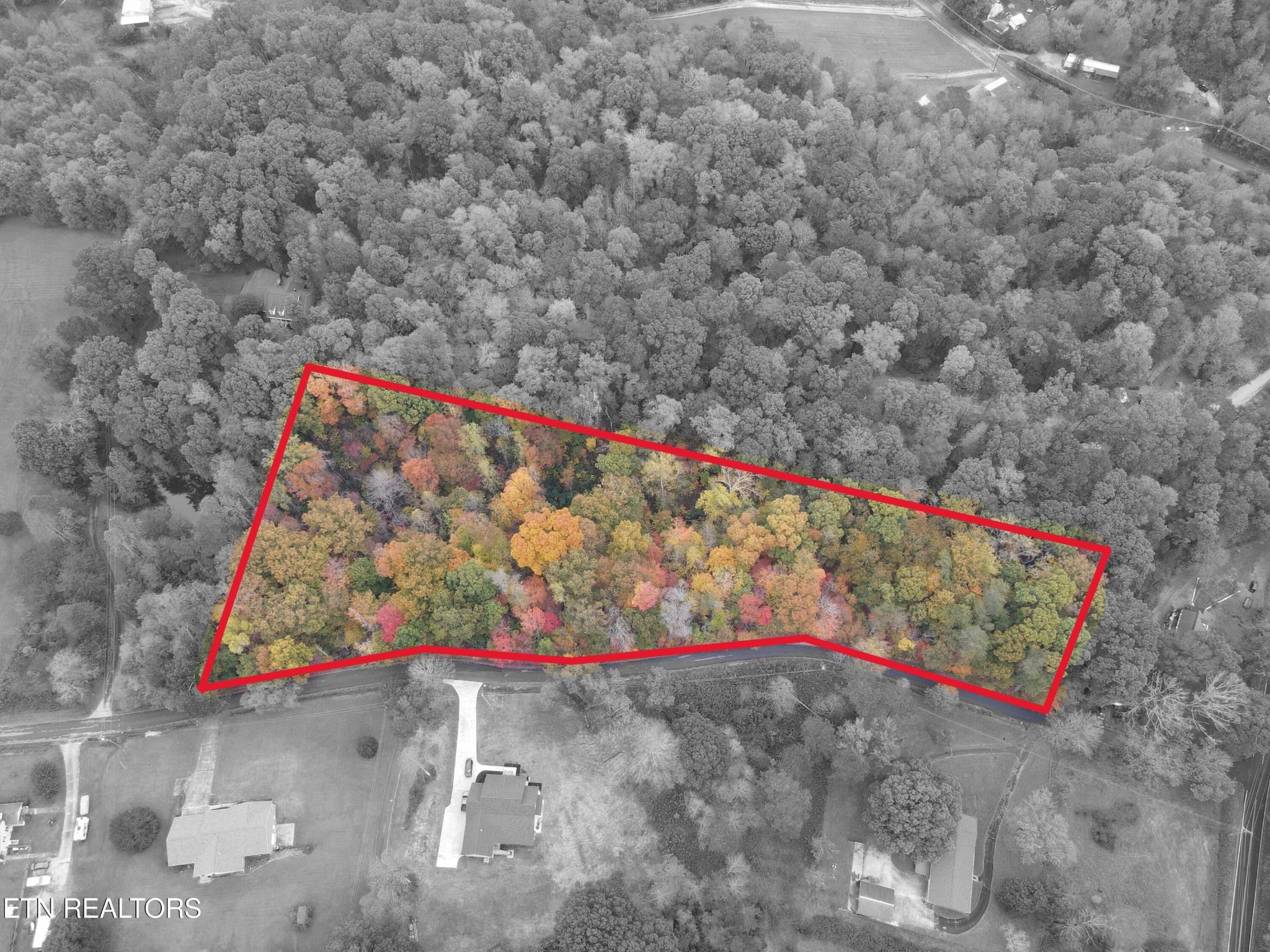 126 Pleasant View Loop Rd Property Photo 4