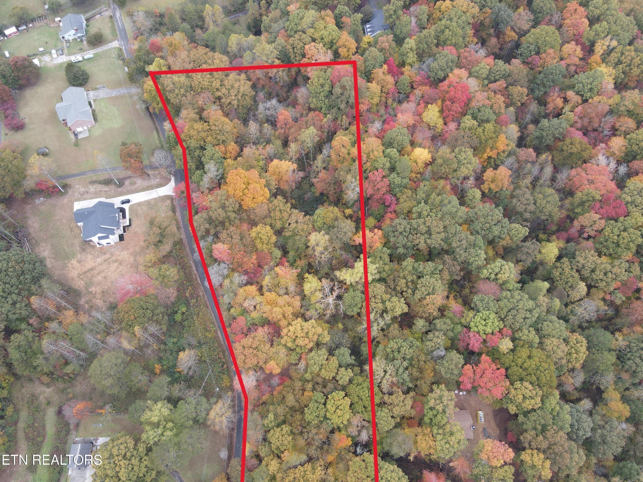 126 Pleasant View Loop Rd Property Photo 5