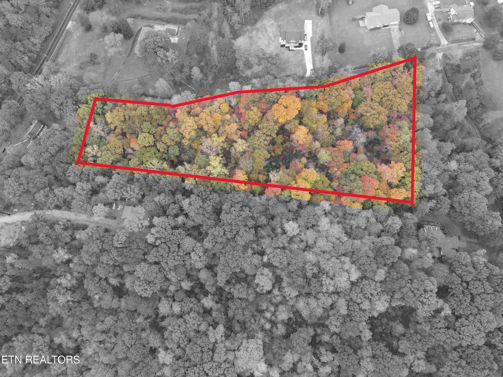 126 Pleasant View Loop Rd Property Photo 6