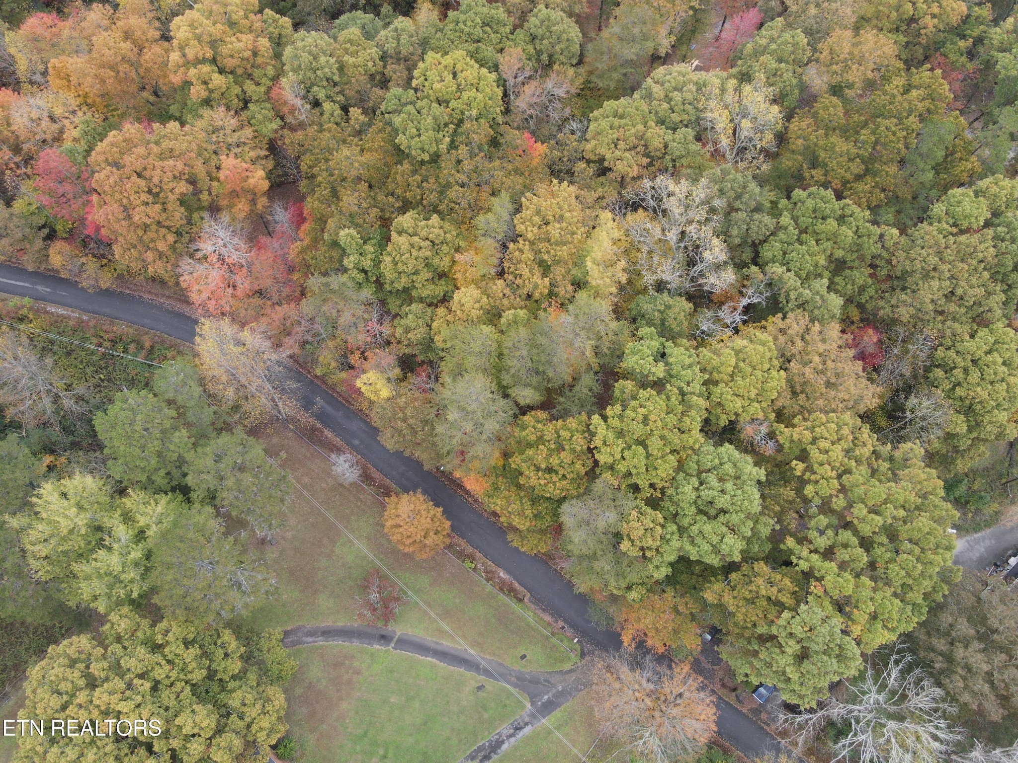 126 Pleasant View Loop Rd Property Photo 8