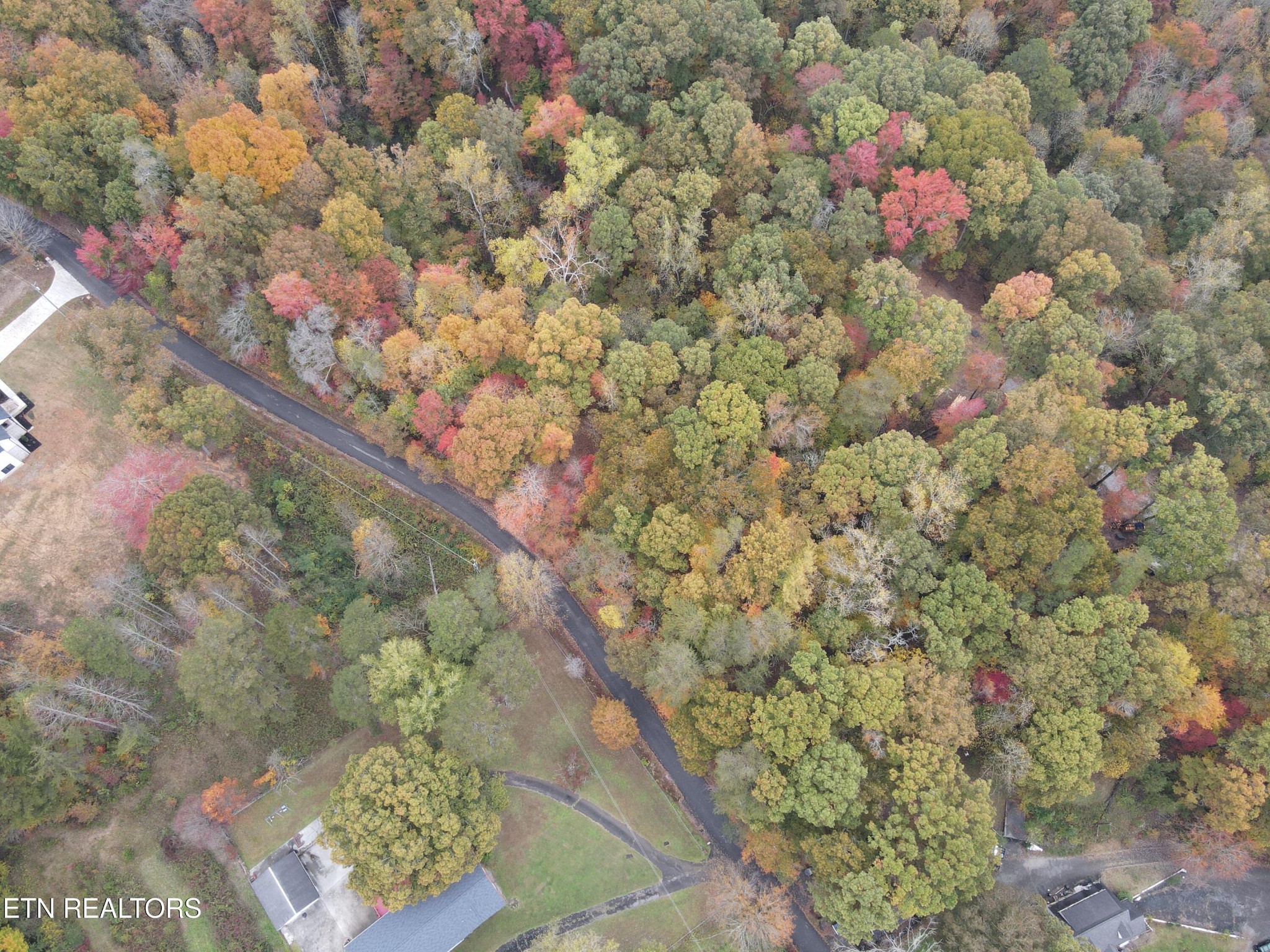 126 Pleasant View Loop Rd Property Photo 9