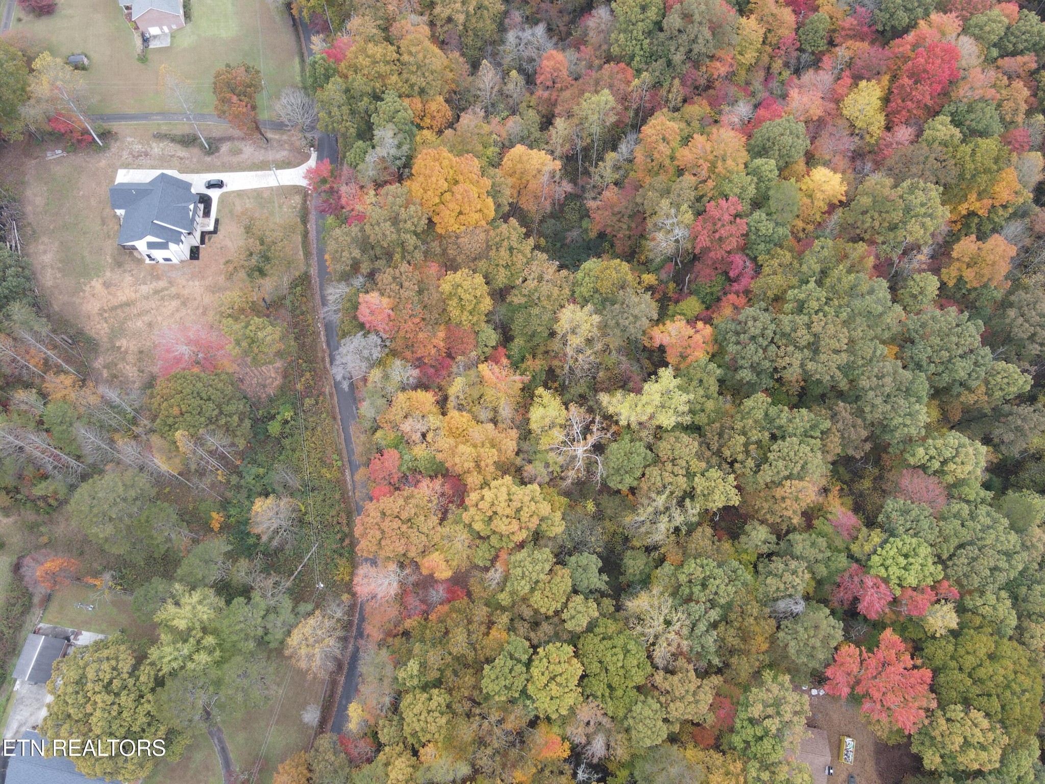 126 Pleasant View Loop Rd Property Photo 10