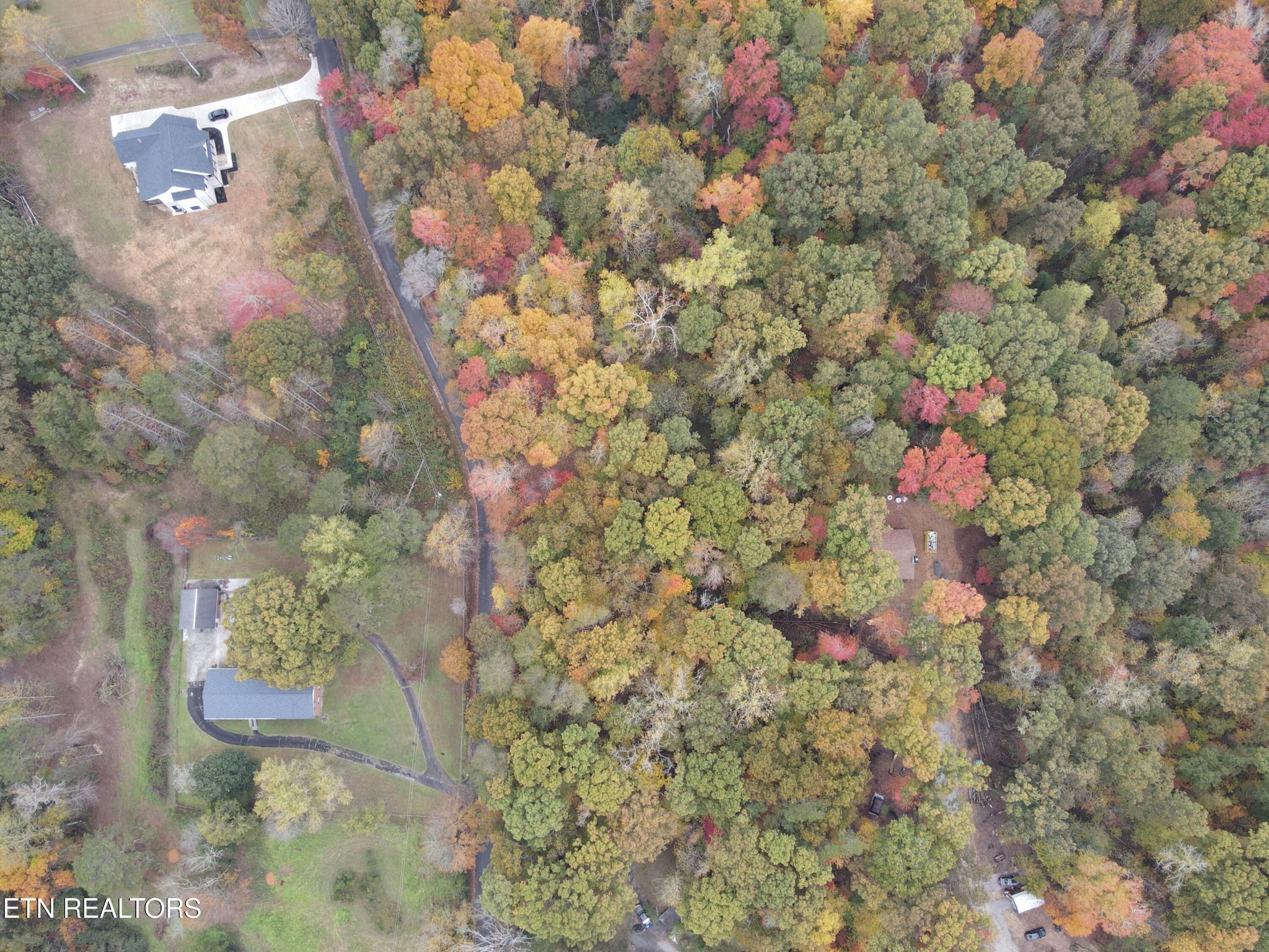 126 Pleasant View Loop Rd Property Photo 11
