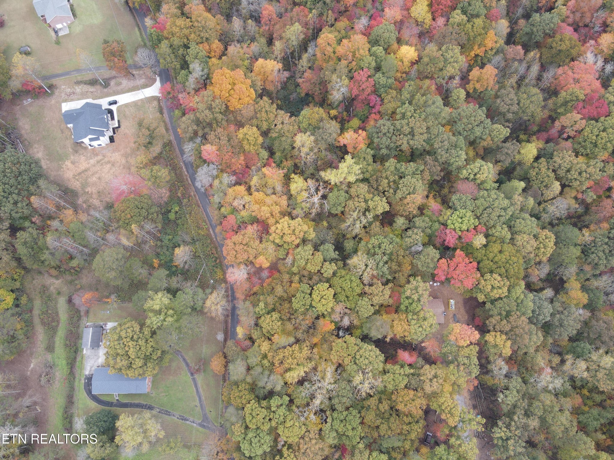 126 Pleasant View Loop Rd Property Photo 12