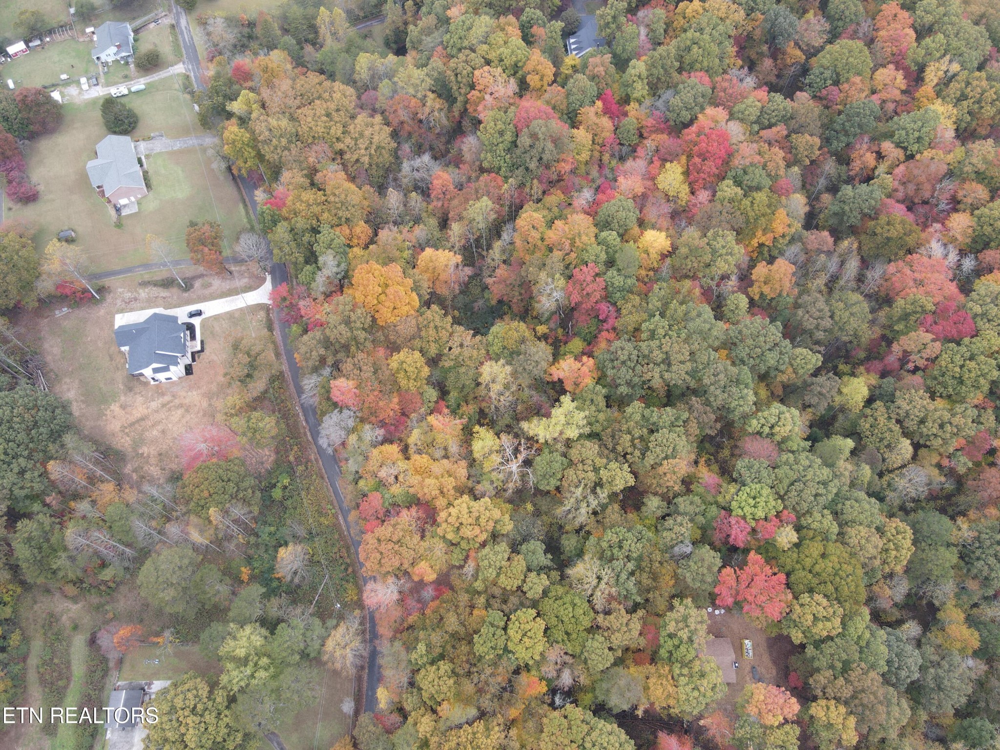 126 Pleasant View Loop Rd Property Photo 13