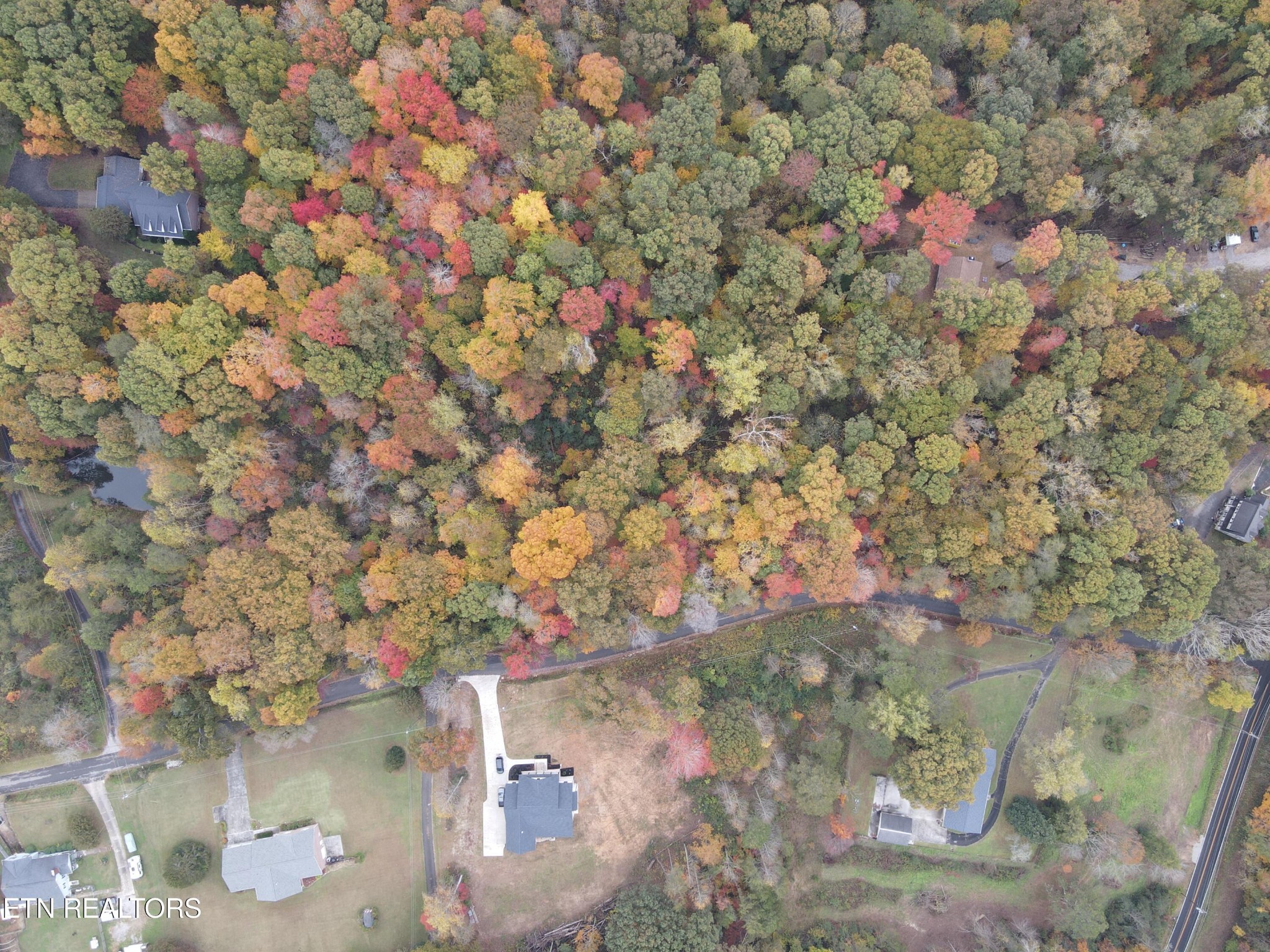 126 Pleasant View Loop Rd Property Photo 15