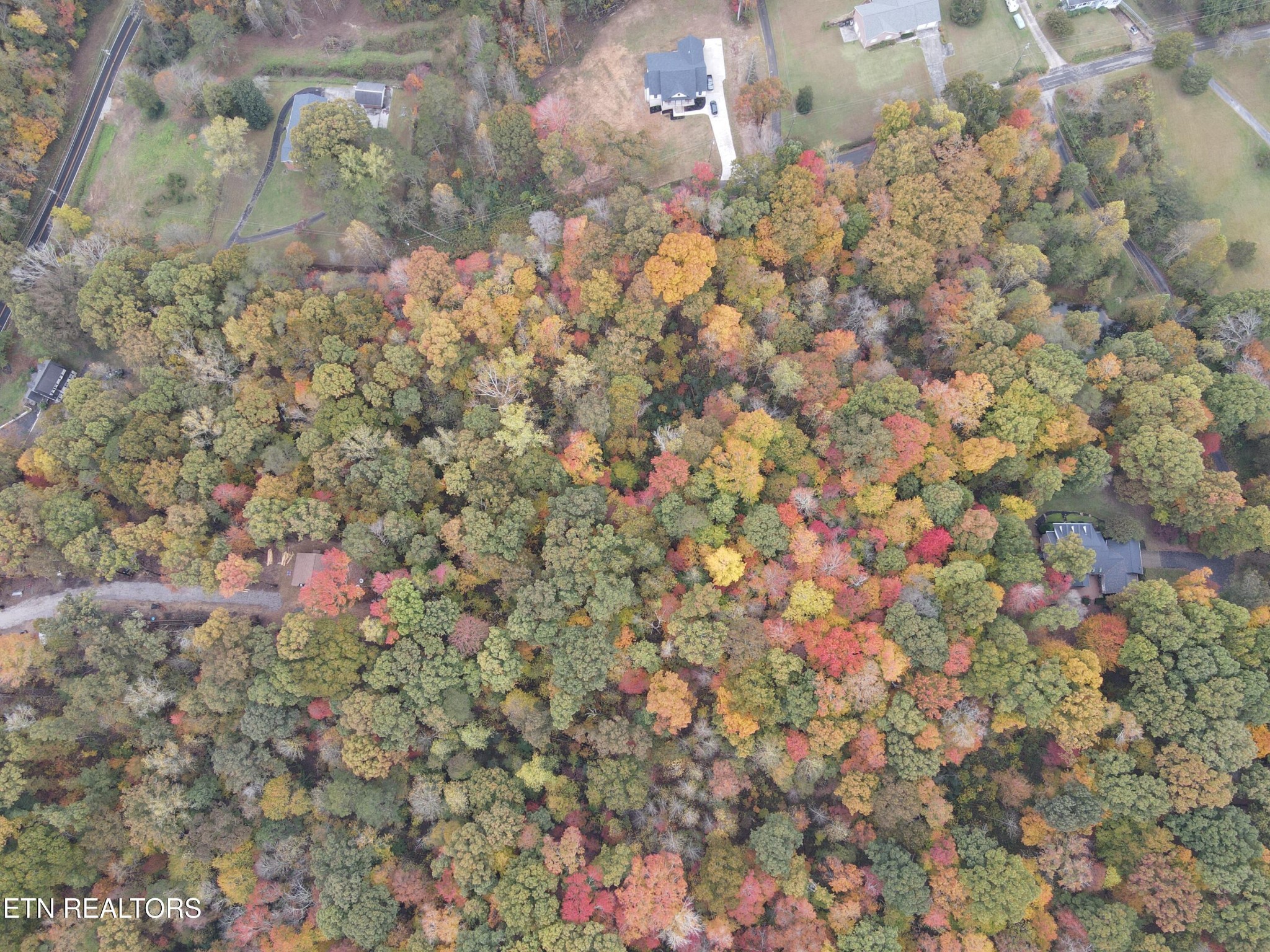 126 Pleasant View Loop Rd Property Photo 16