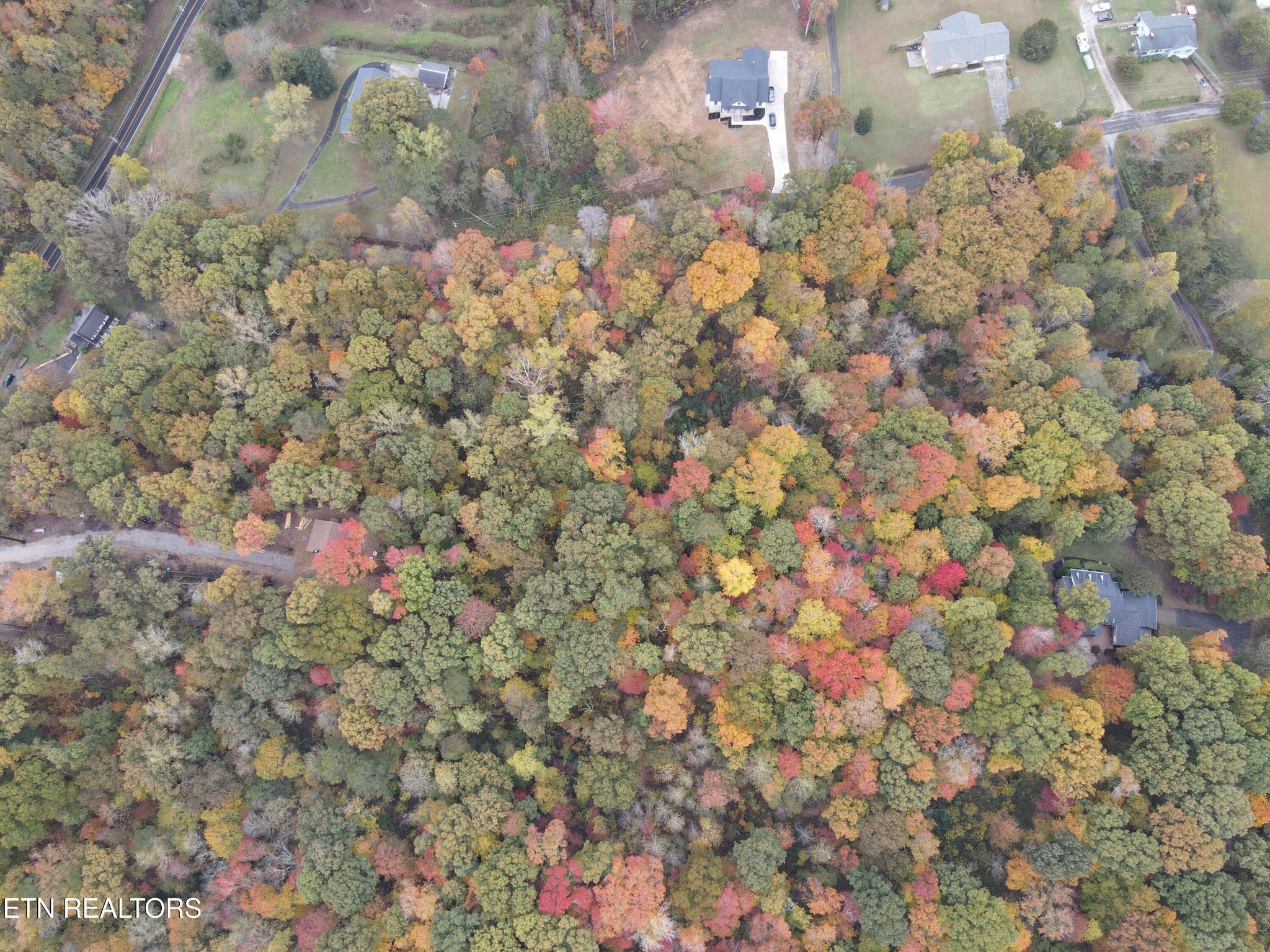 126 Pleasant View Loop Rd Property Photo 17