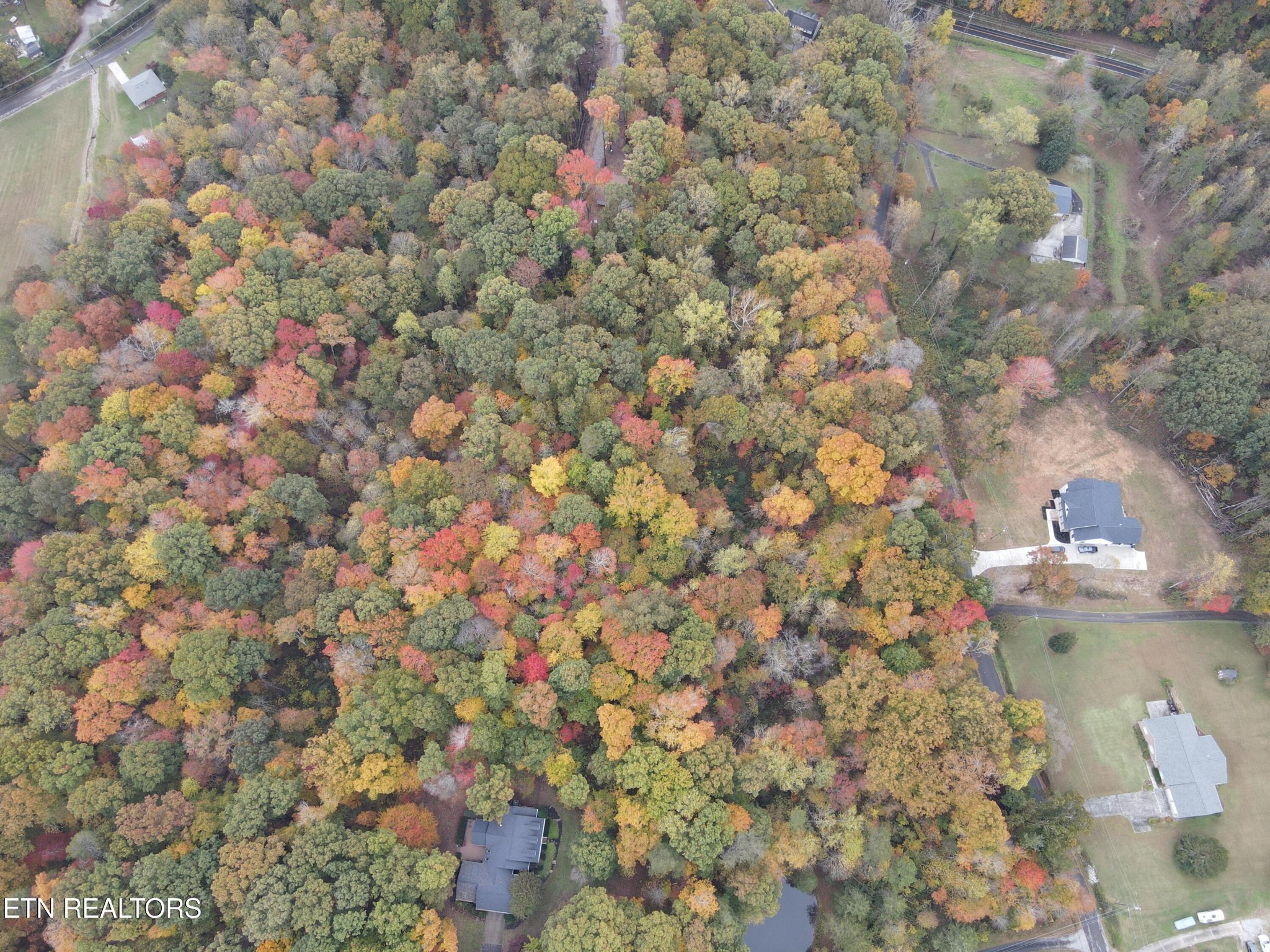 118 Pleasant View Loop Rd Property Photo 19