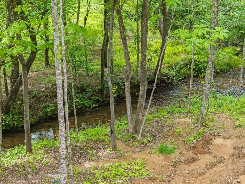 148 Brookwood Drive Property Photo 45