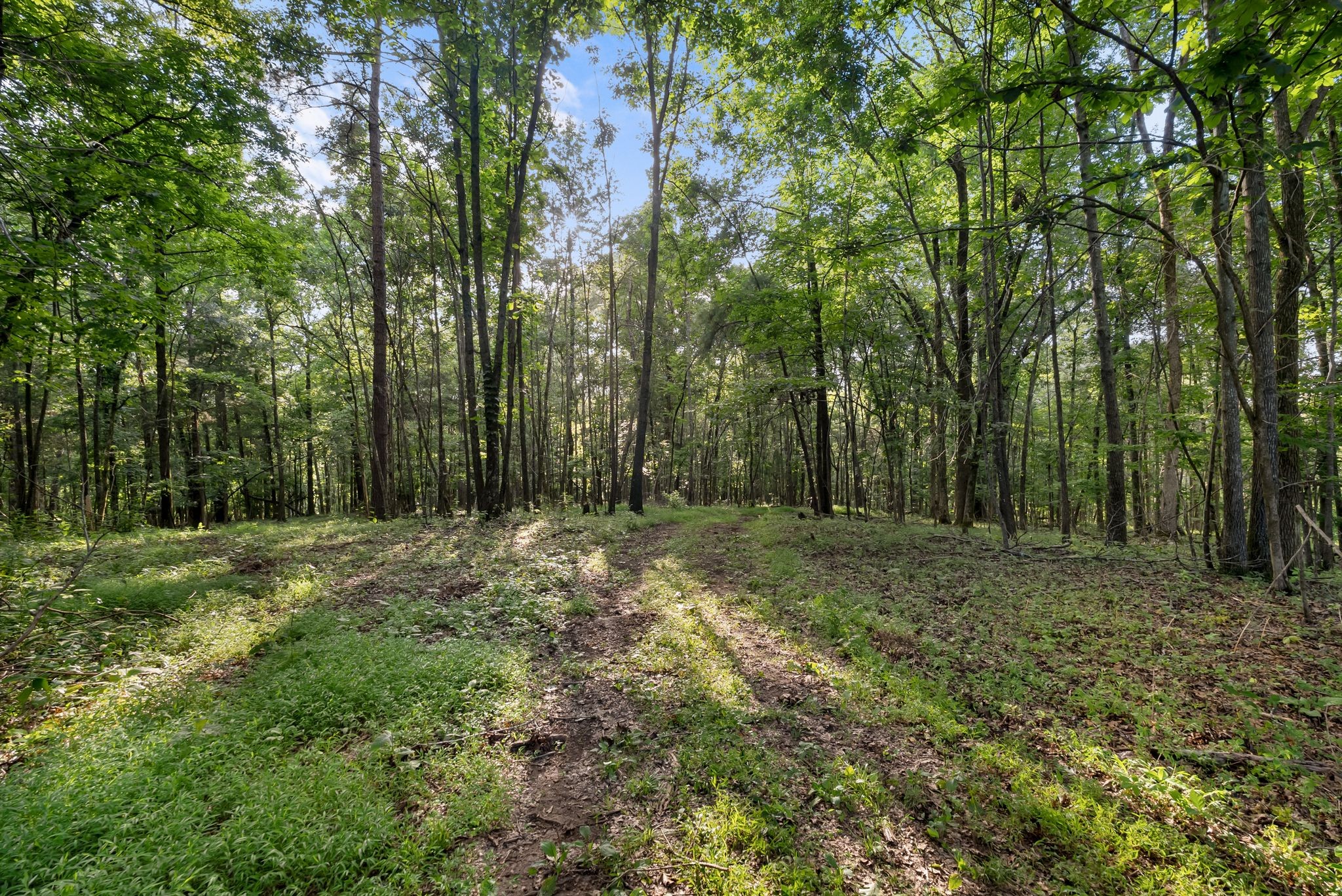2942 Newman Rd Property Photo 40