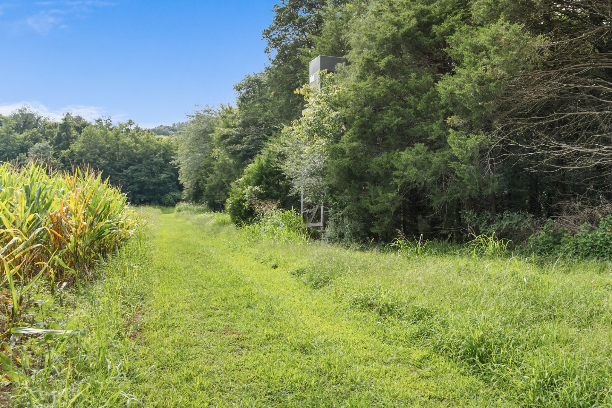 2942 Newman Rd Property Photo 46