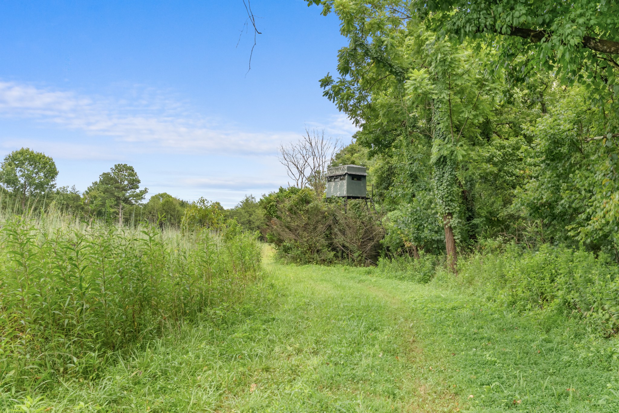 2942 Newman Rd Property Photo 49