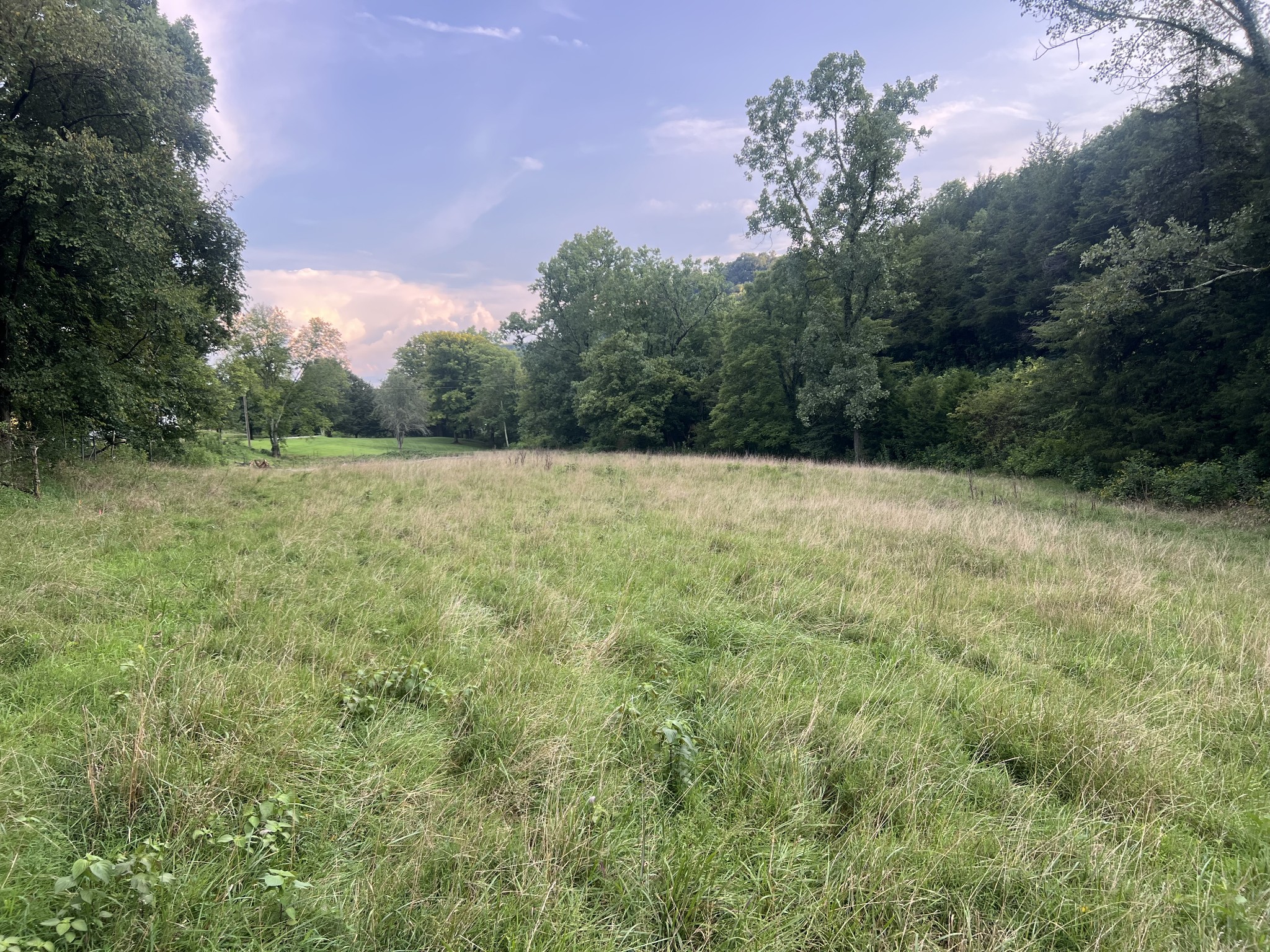 0 Club Springs Rd Off 263 Property Photo 1