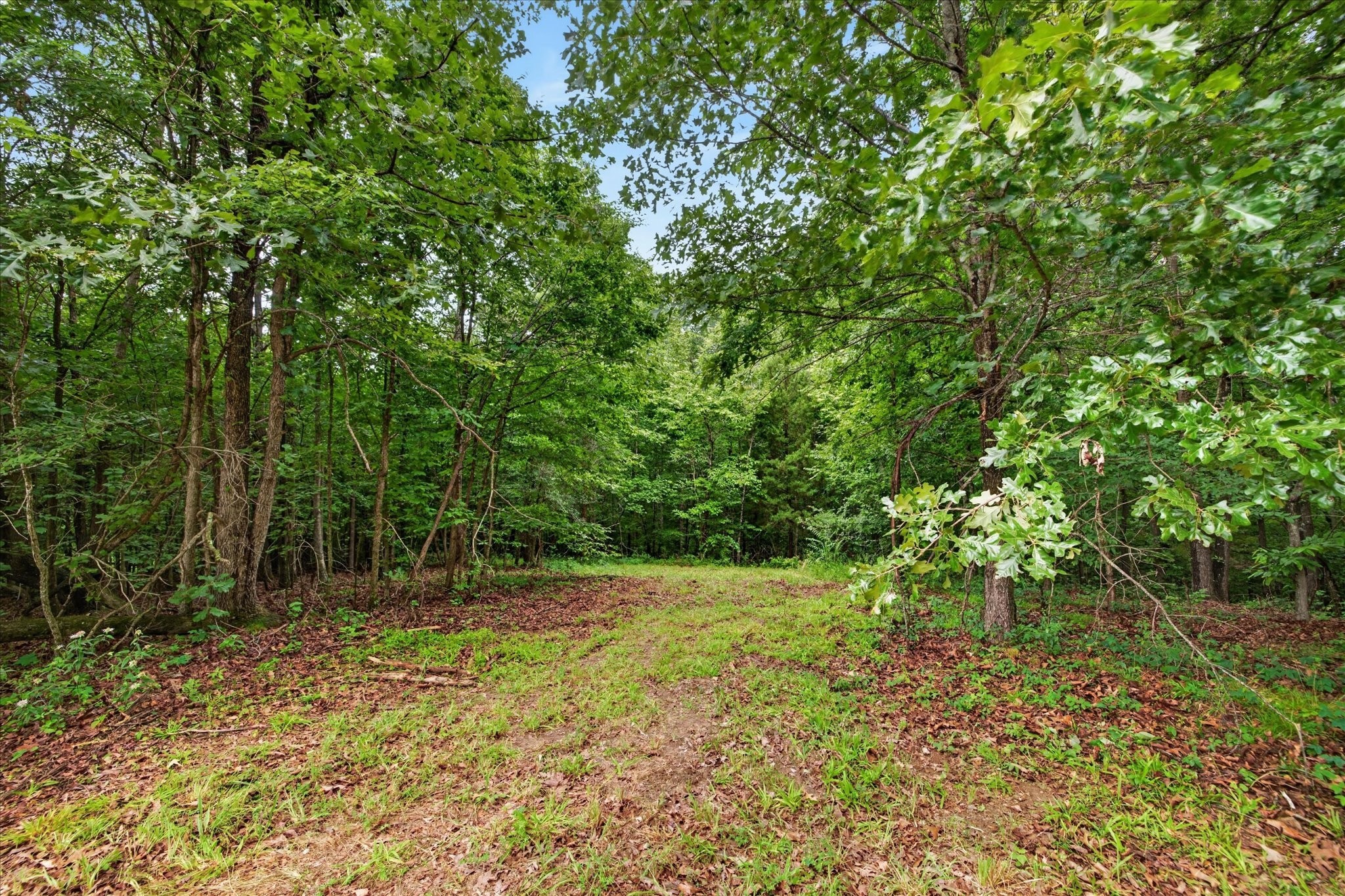 81 Homestead Court Property Photo 37
