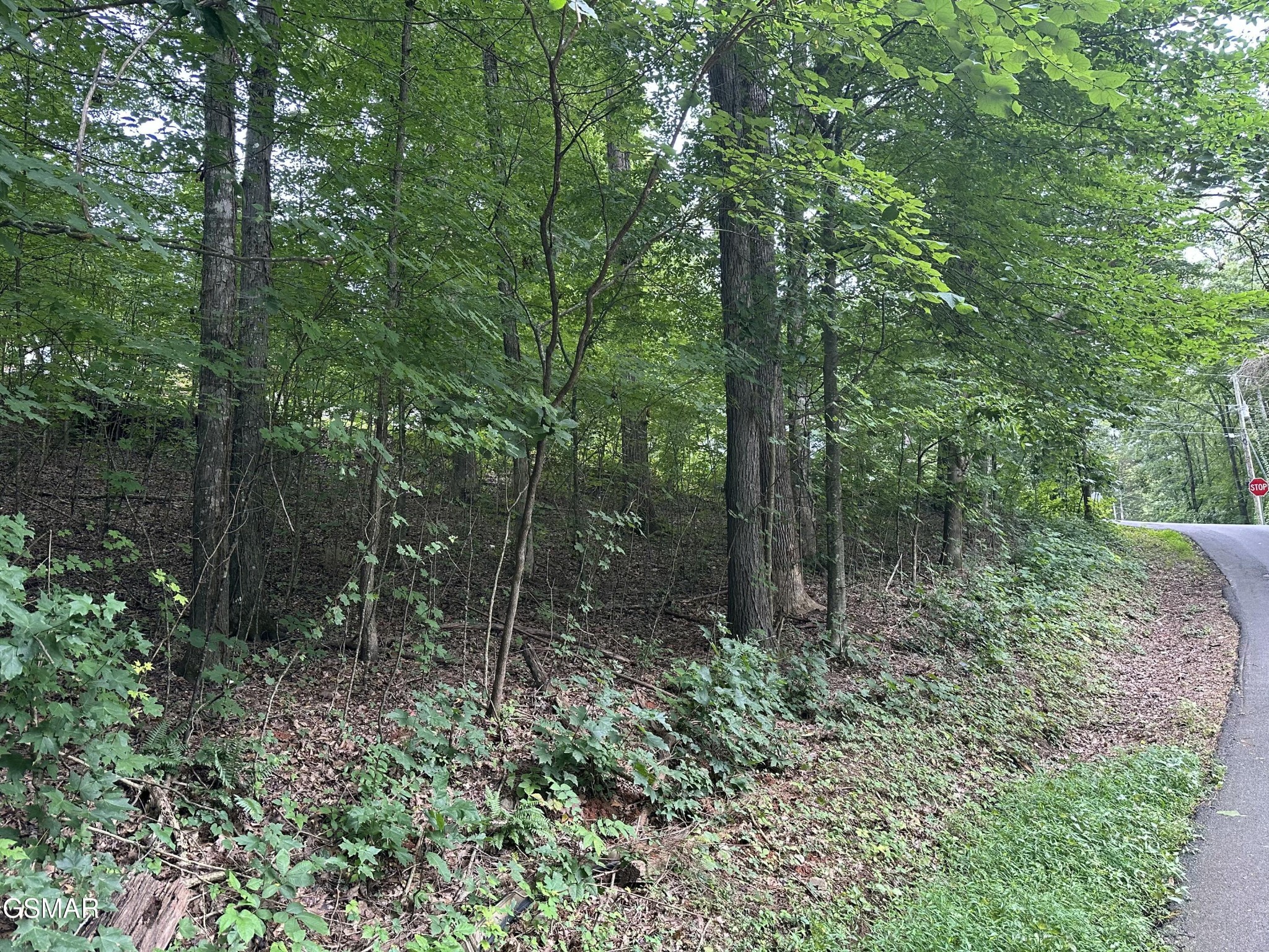 75 Highpoint Drive Property Photo 1