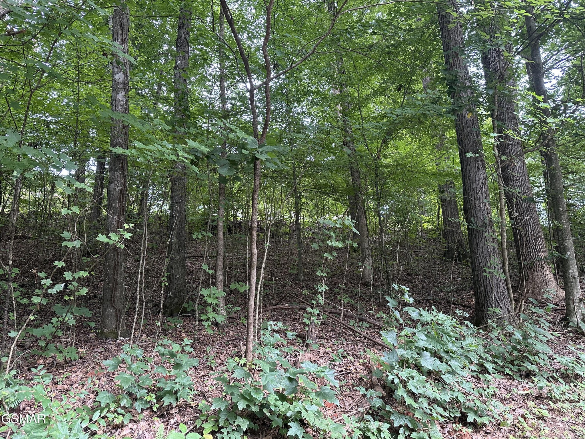 75 Highpoint Drive Property Photo 2
