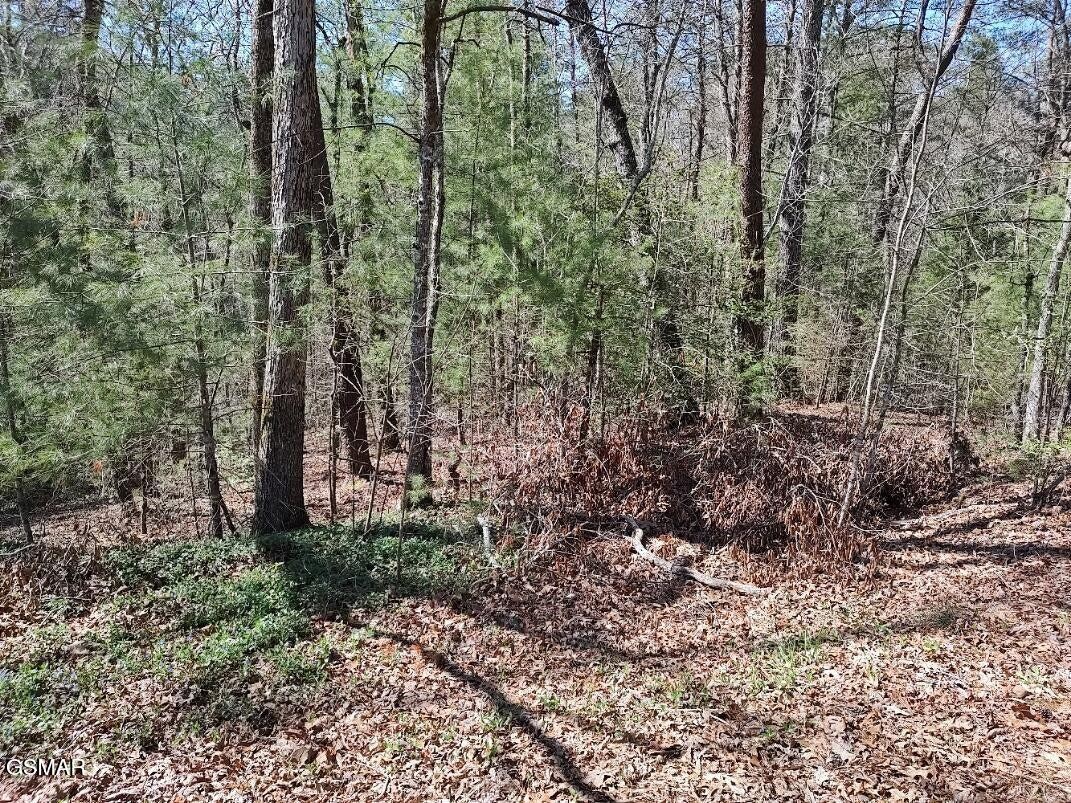 10 John Boy Trail Property Photo 1