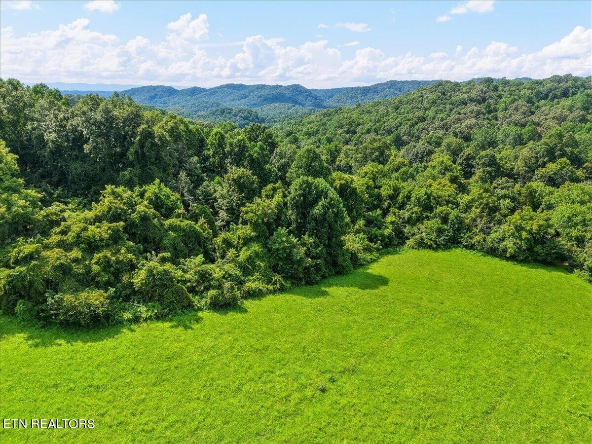 579565 Harless Rd Property Photo 2