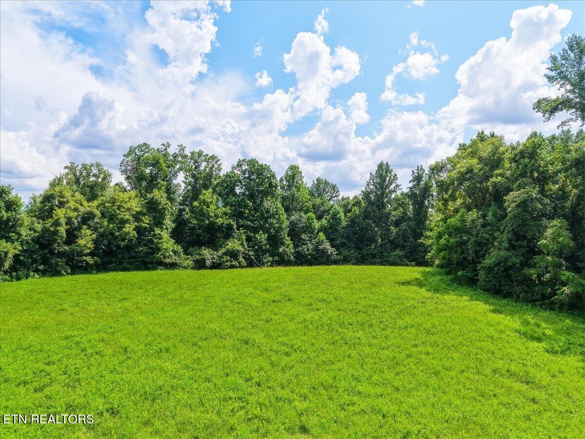 579565 Harless Rd Property Photo 7