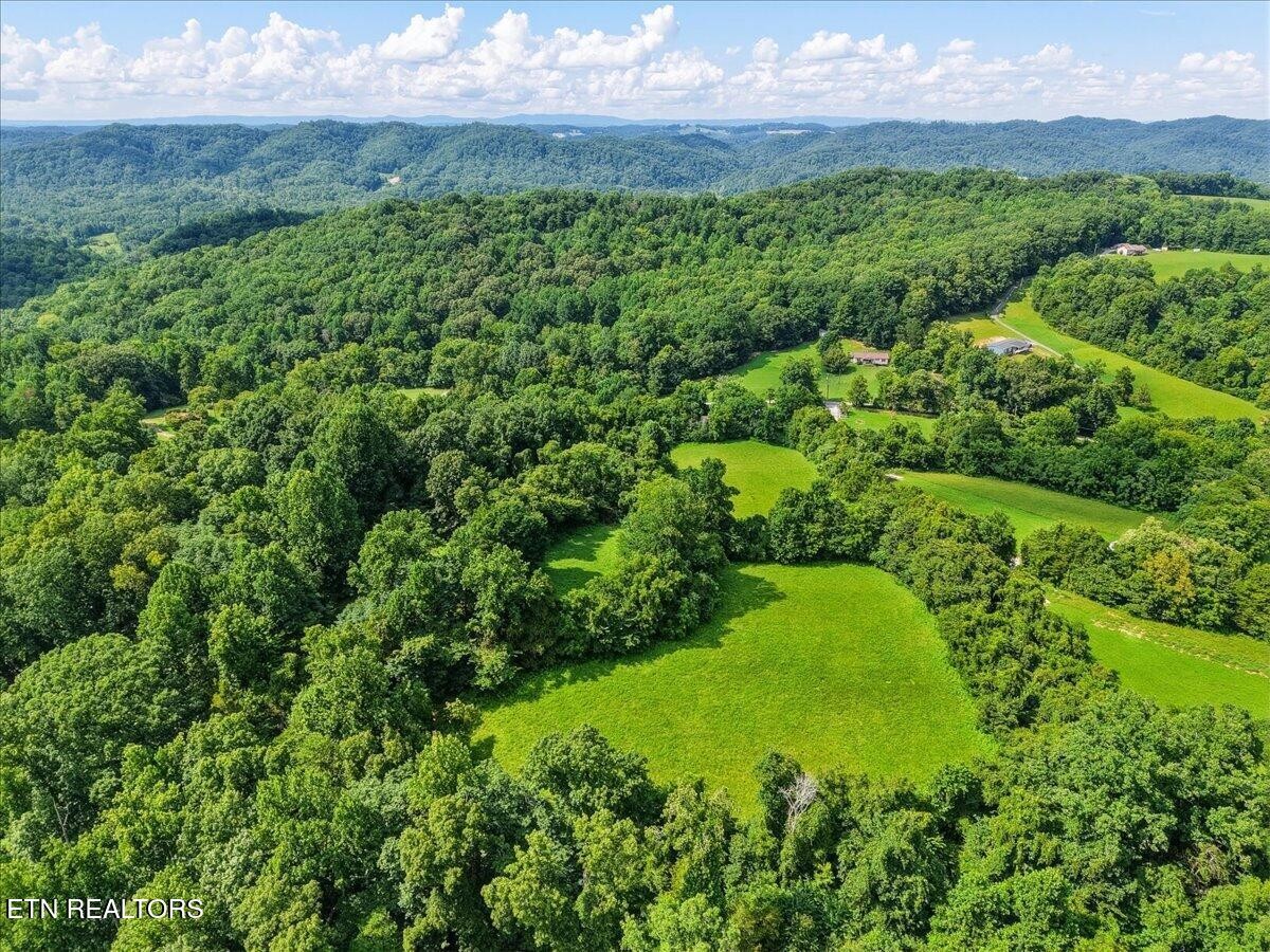 579565 Harless Rd Property Photo 8