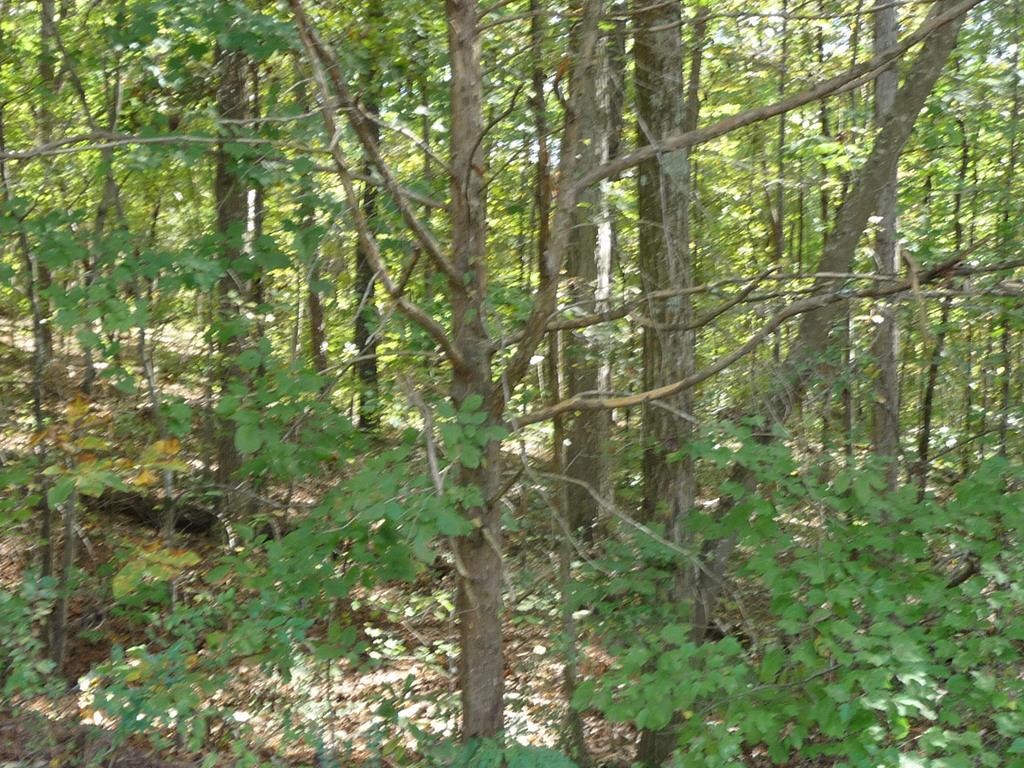 0 Ridge Point Drive, Nw Property Photo 1