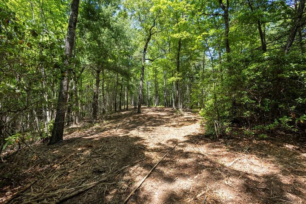 43 Donley Road Property Photo 1