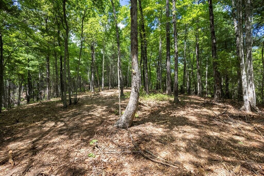 43 Donley Road Property Photo 2