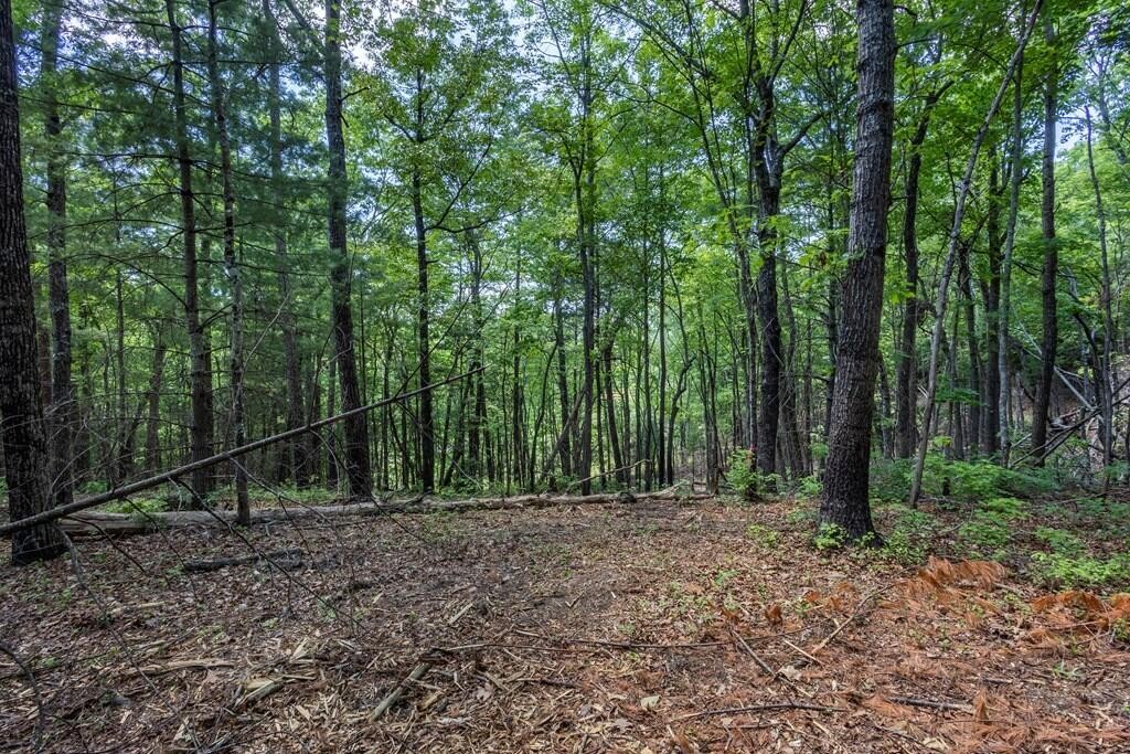 43 Donley Road Property Photo 3