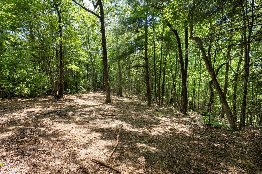 43 Donley Road Property Photo 5