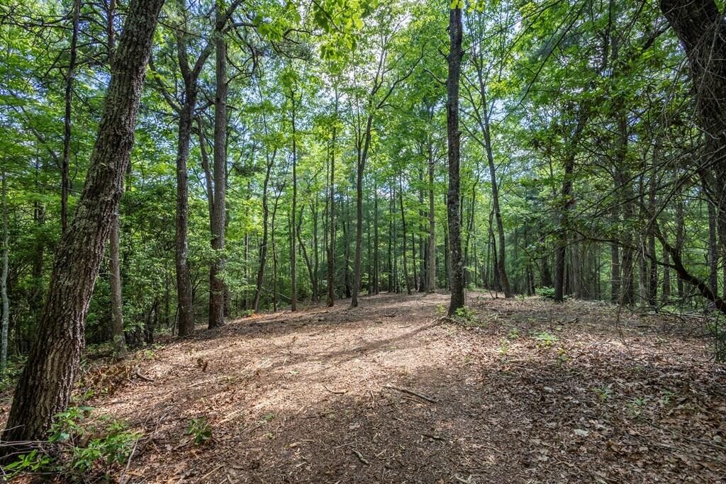 43 Donley Road Property Photo 8