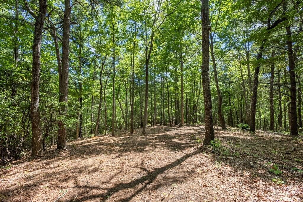43 Donley Road Property Photo 10