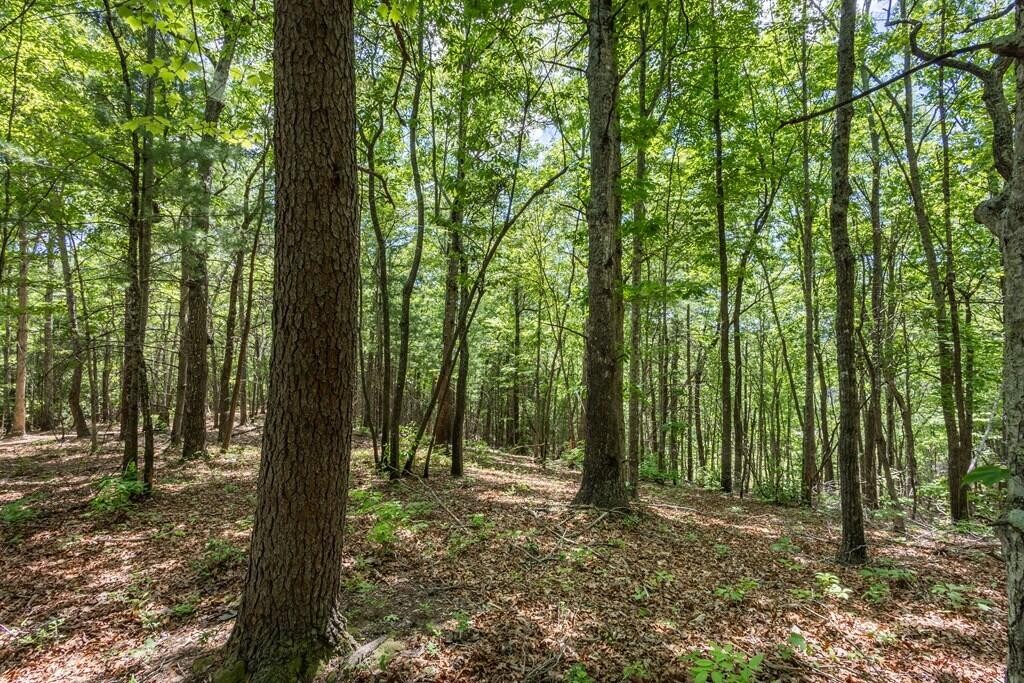 43 Donley Road Property Photo 13