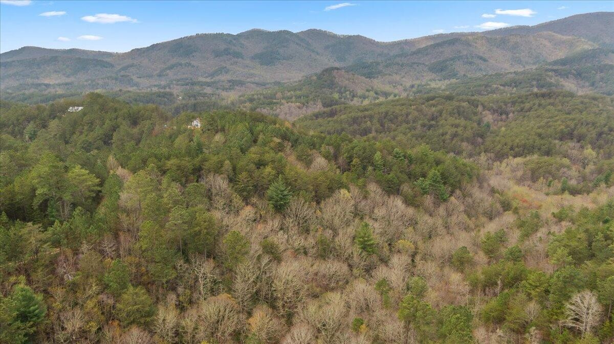 7 Skyline Drive Property Photo 4