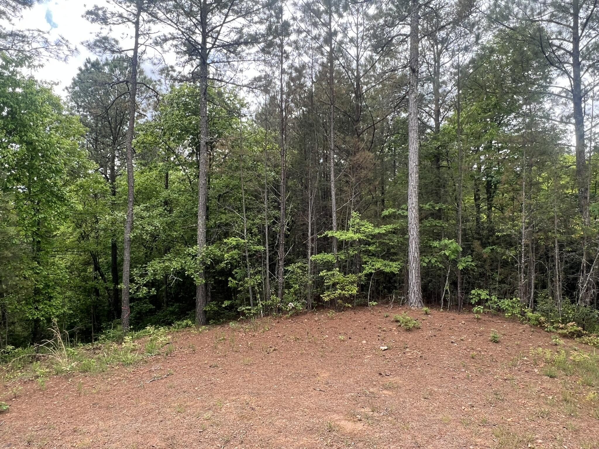 7 Skyline Drive Property Photo 6