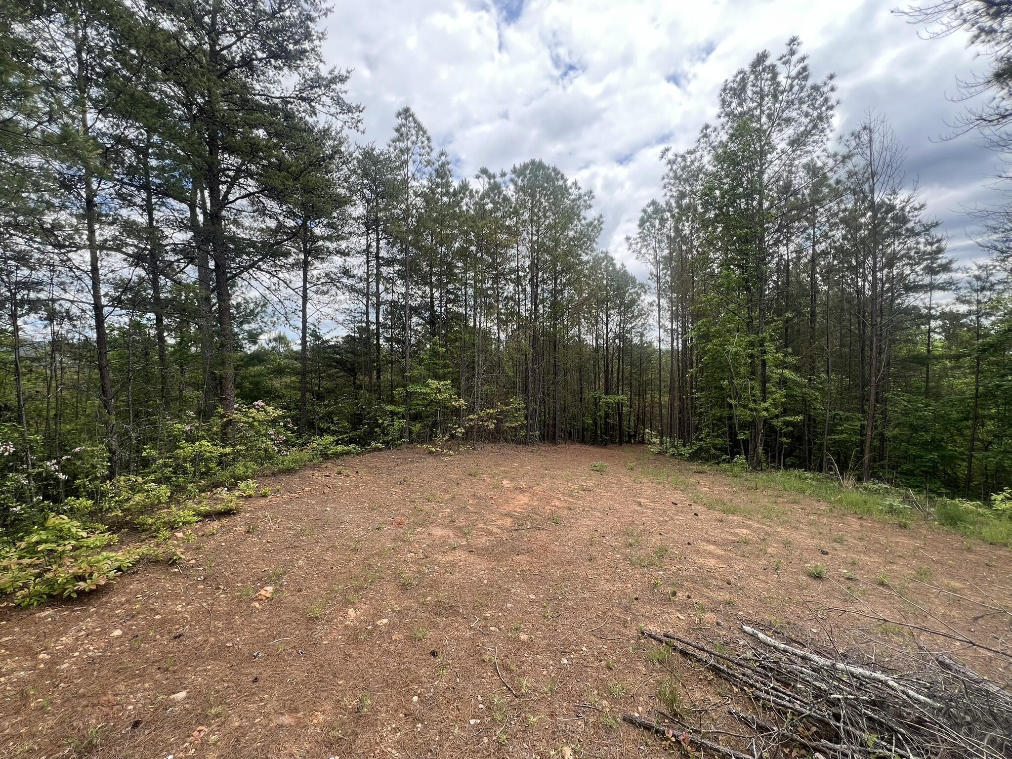 7 Skyline Drive Property Photo 7