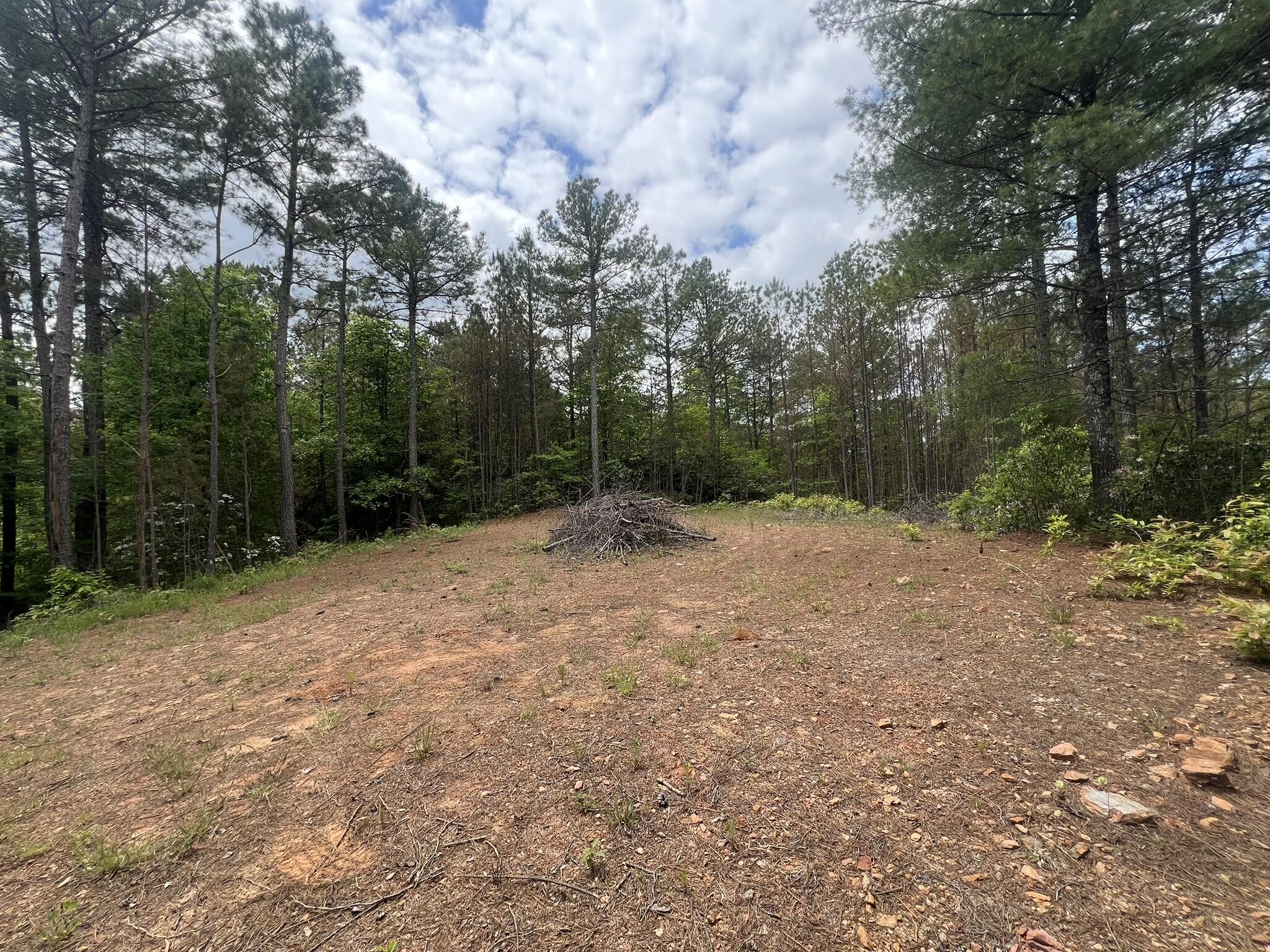 7 Skyline Drive Property Photo 8