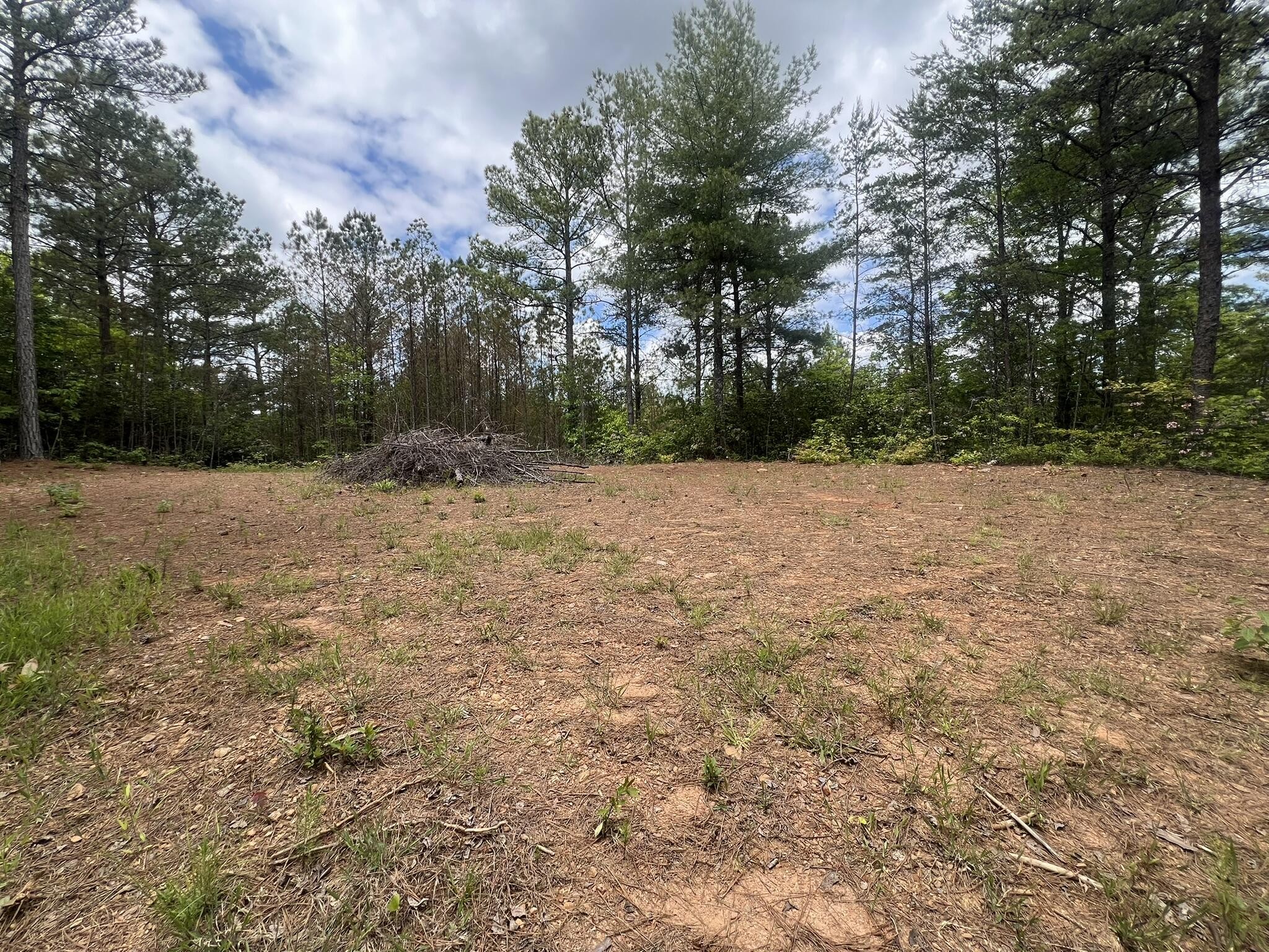 7 Skyline Drive Property Photo 9