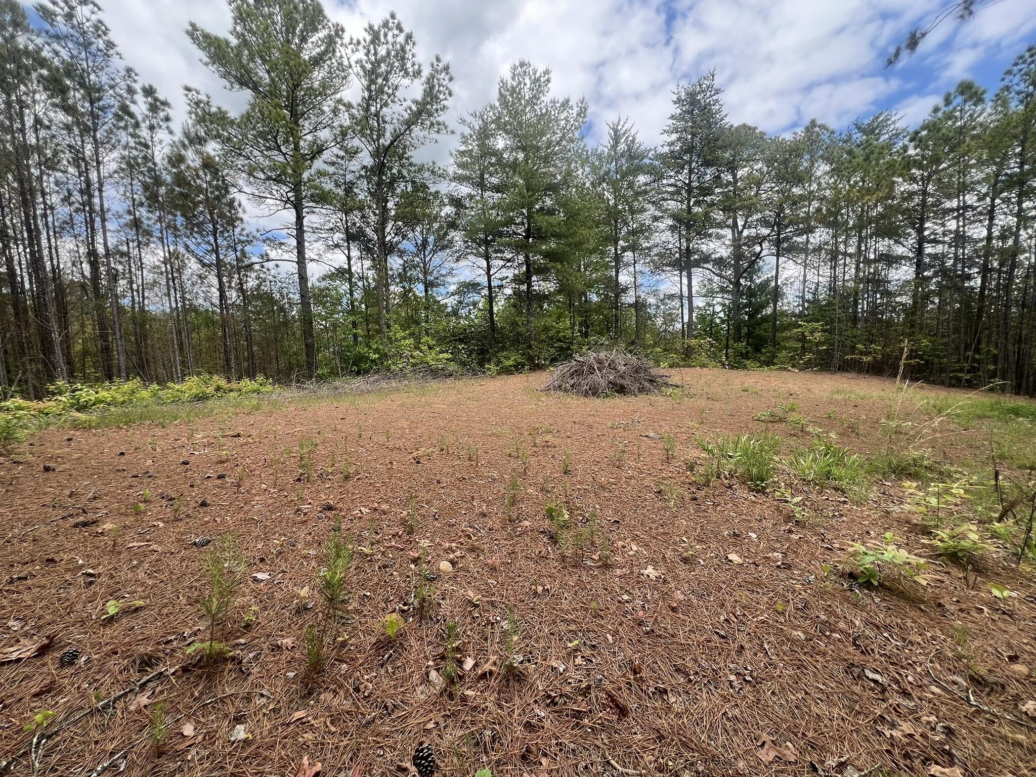 7 Skyline Drive Property Photo 10