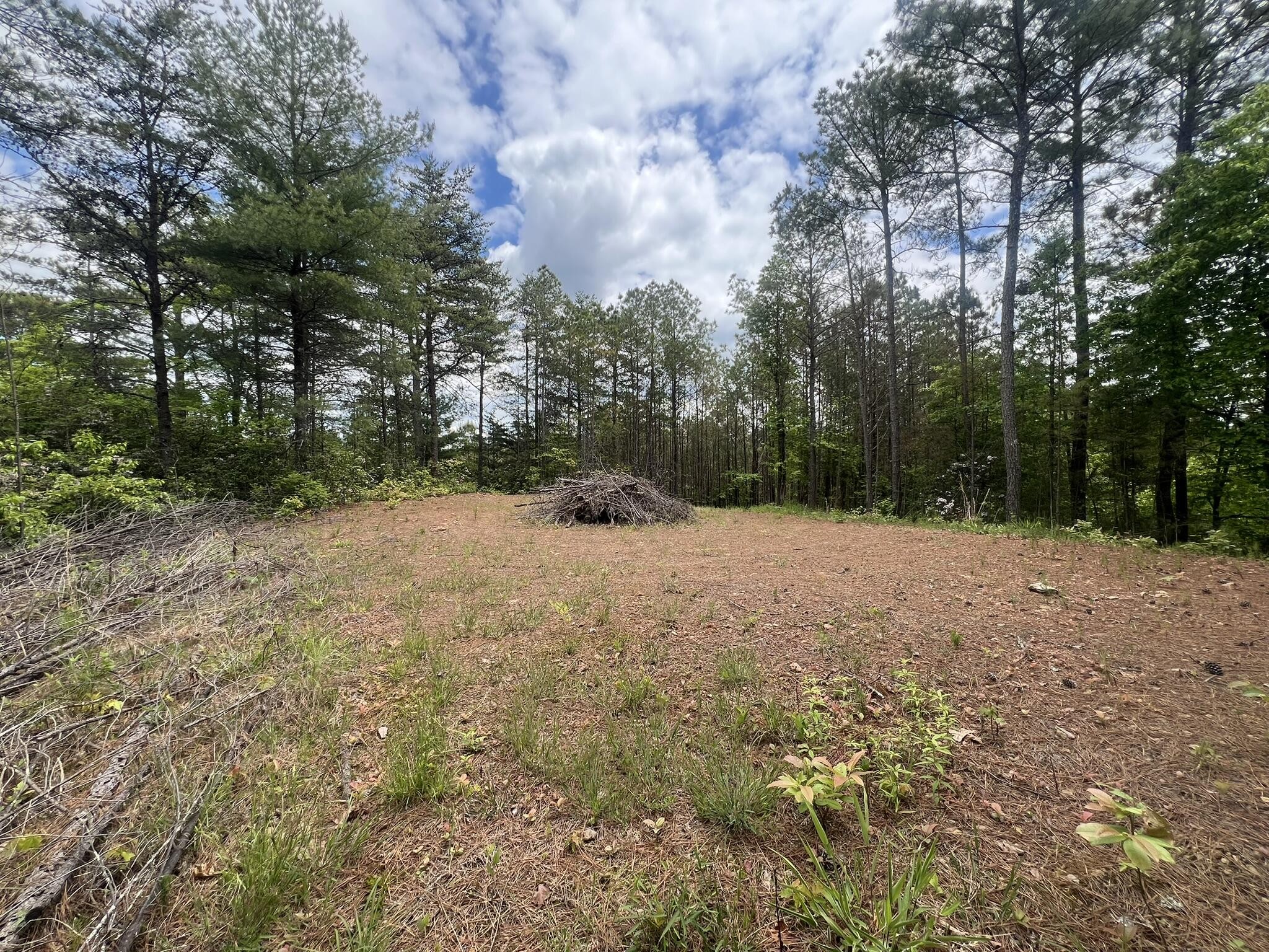 7 Skyline Drive Property Photo 11